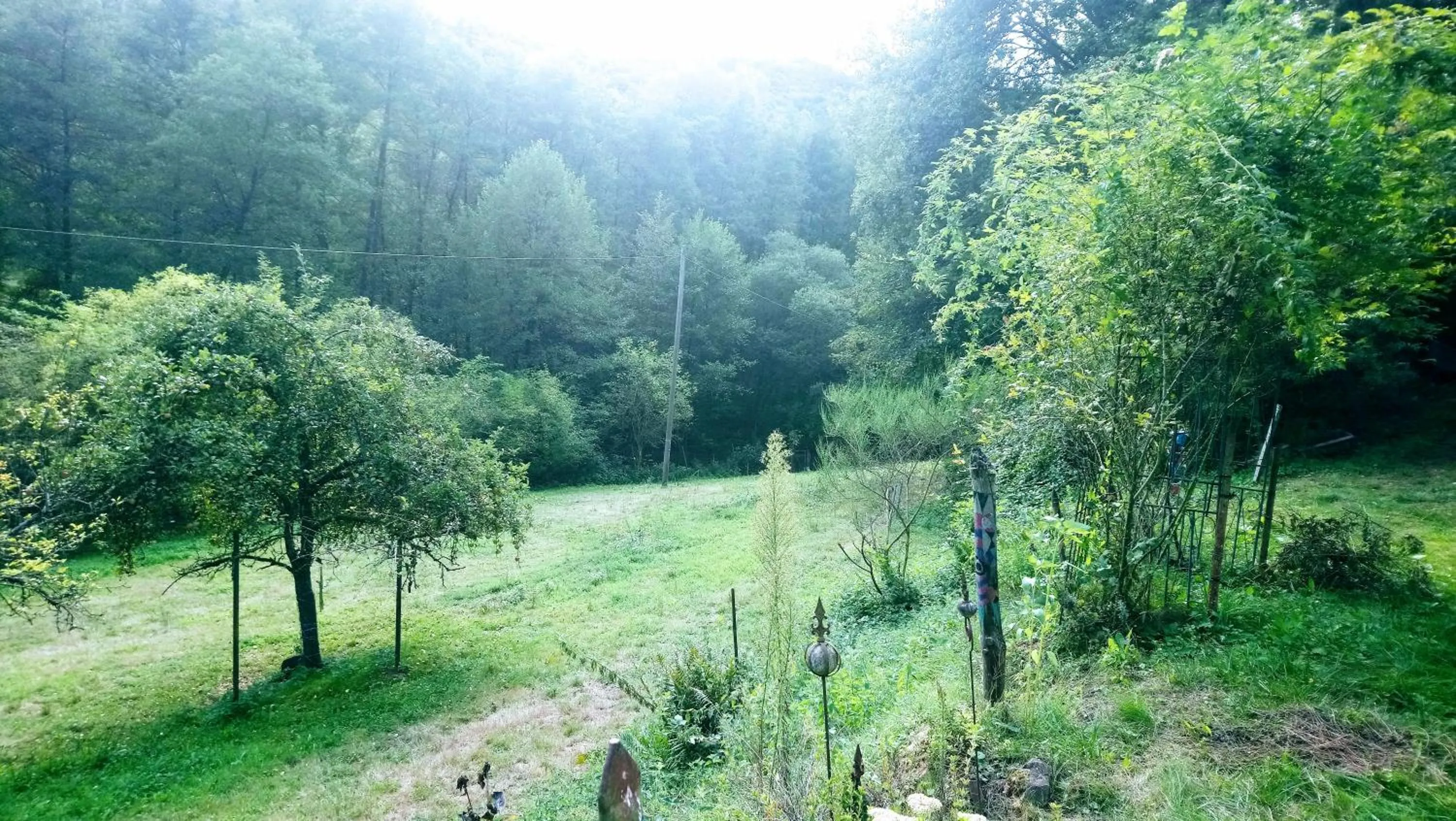 Animals in Haus 3 Birken