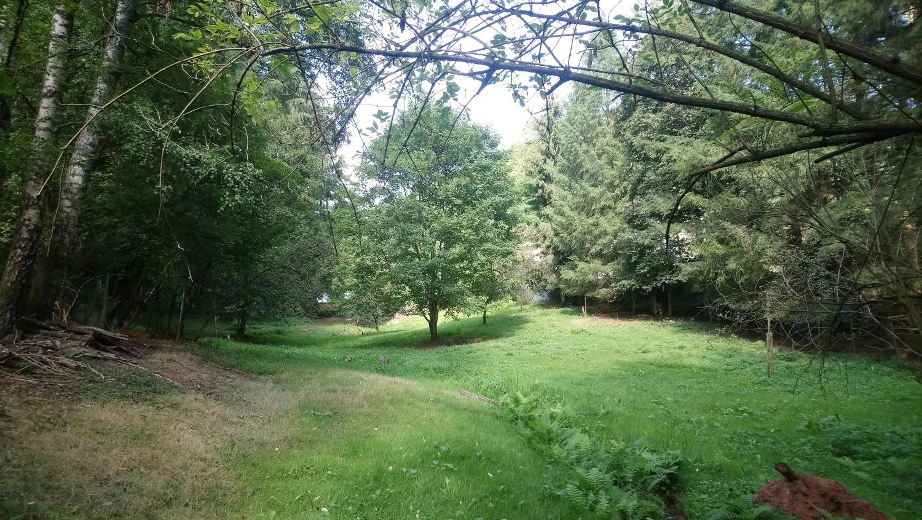 Animals in Haus 3 Birken