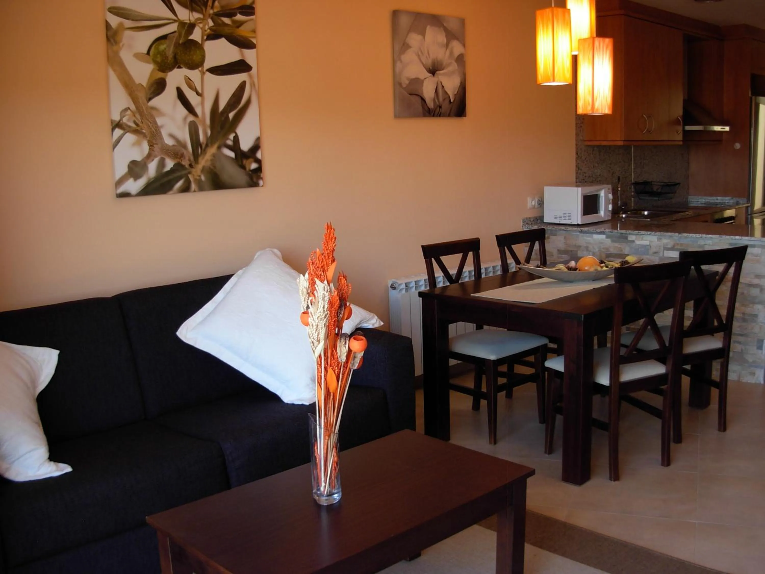 Living room in Cal Ribero