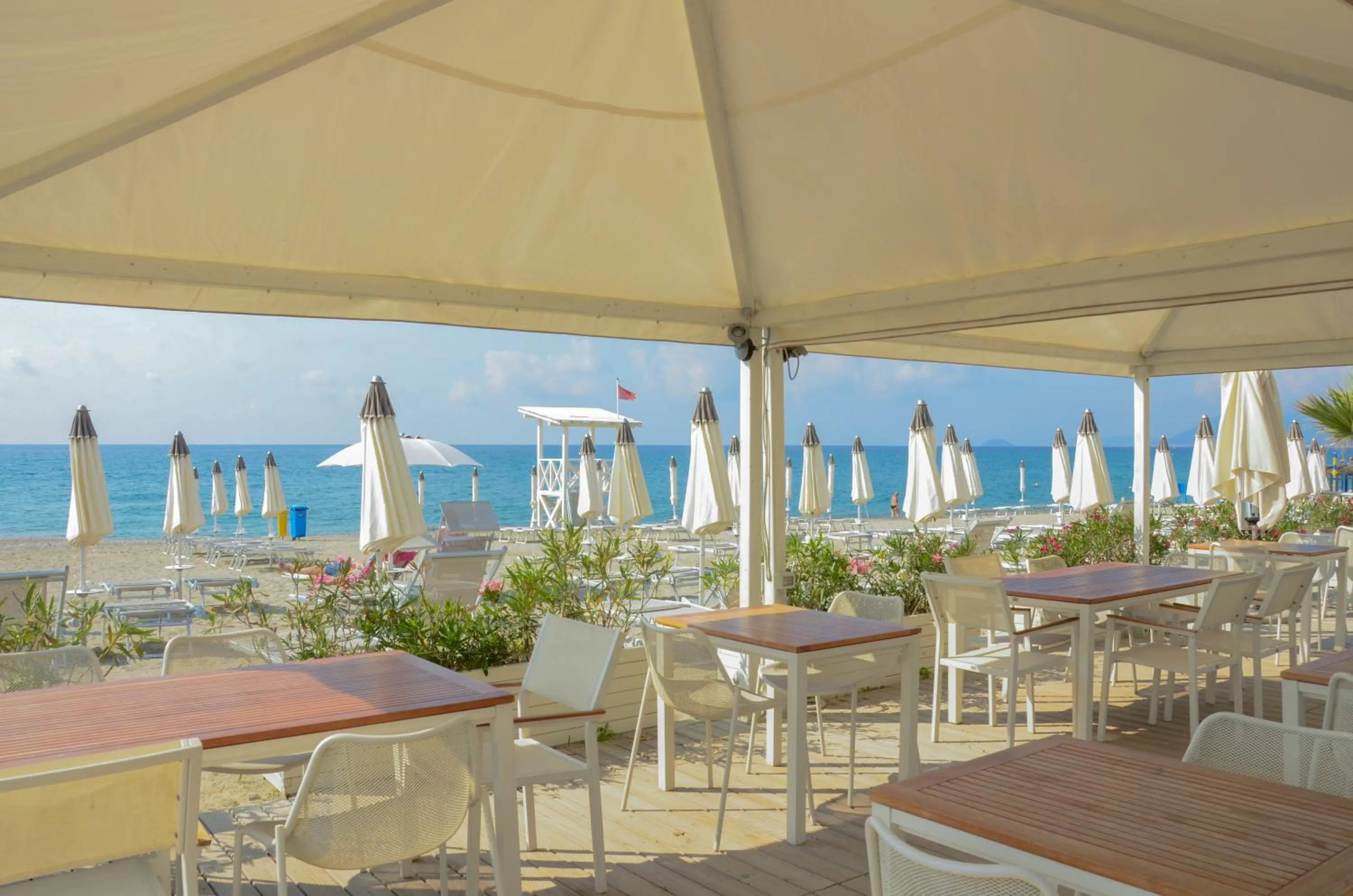 Restaurant/places to eat in Hotel De La Plage