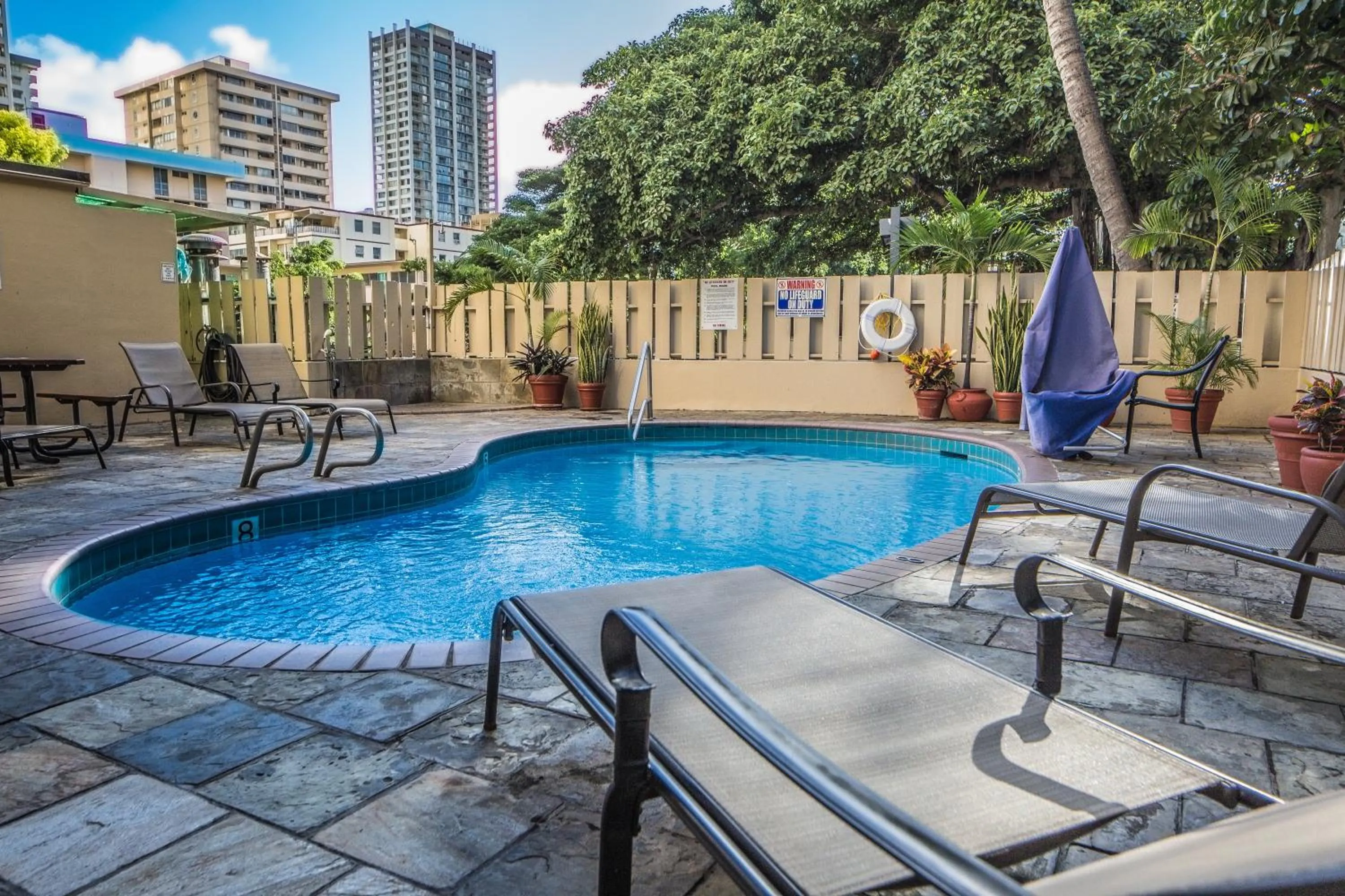 Swimming pool in Renovated Studio with Pool Access at Aloha Surf