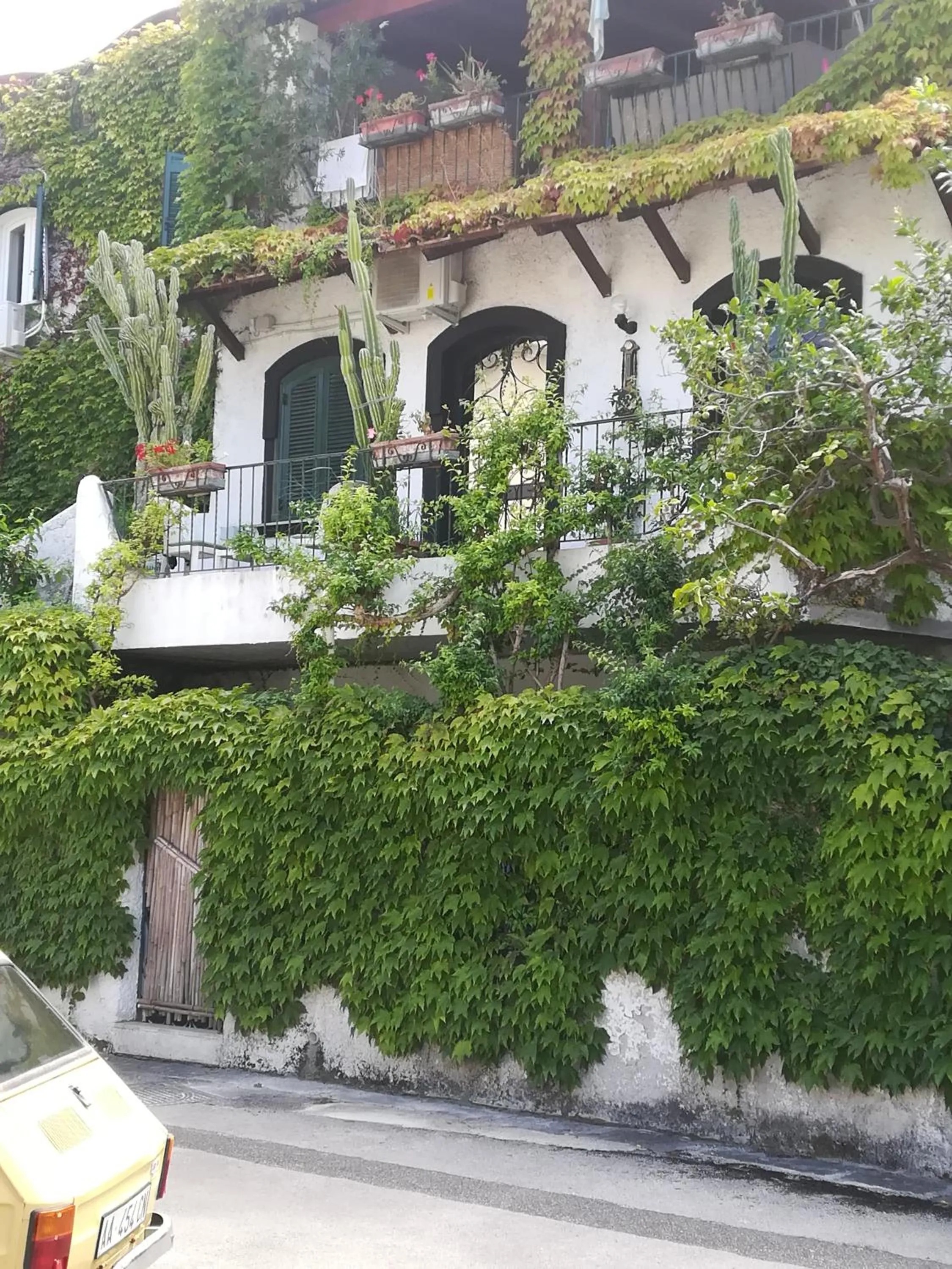 Property building in Casa Malo'