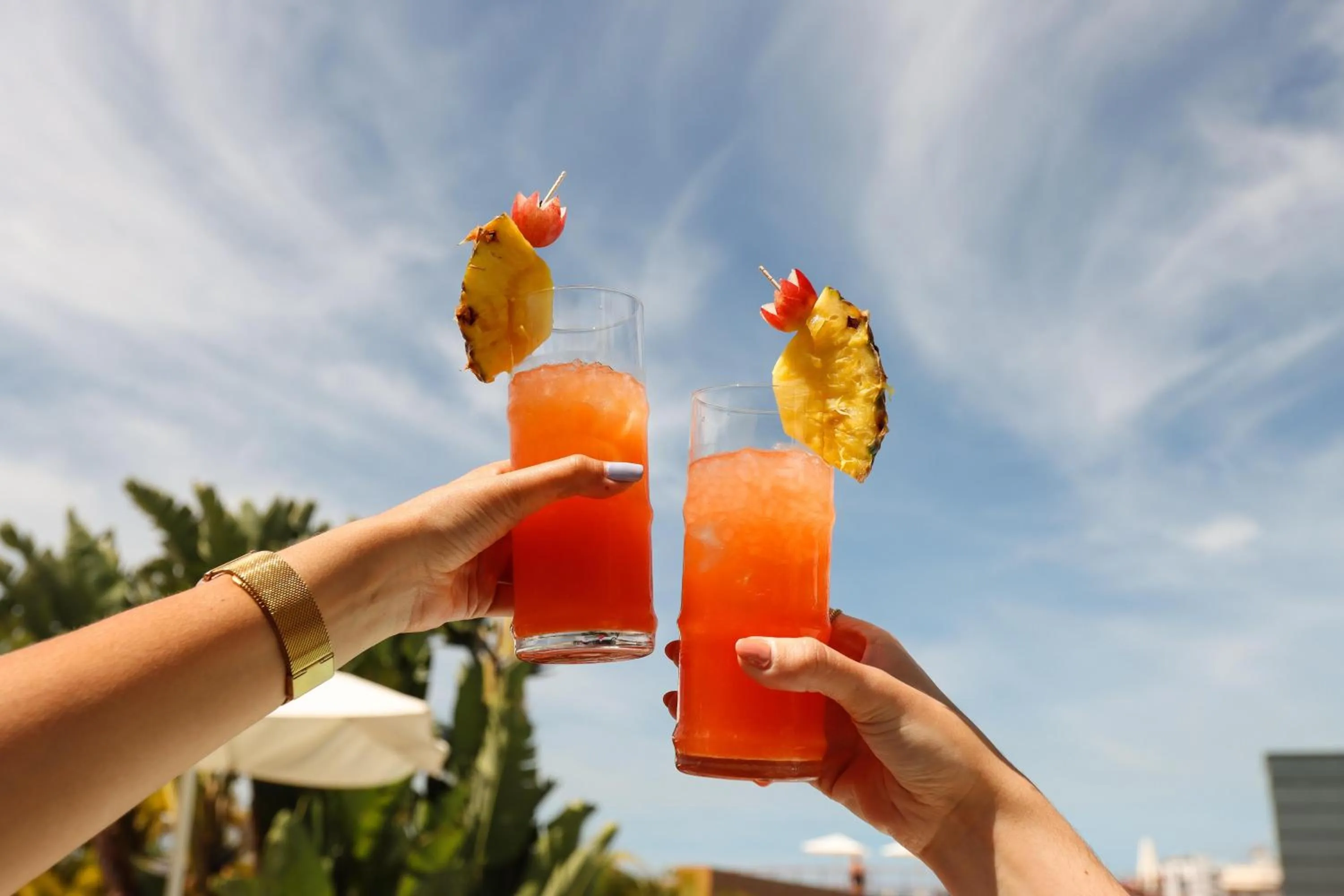 Activities in The Views Monumental