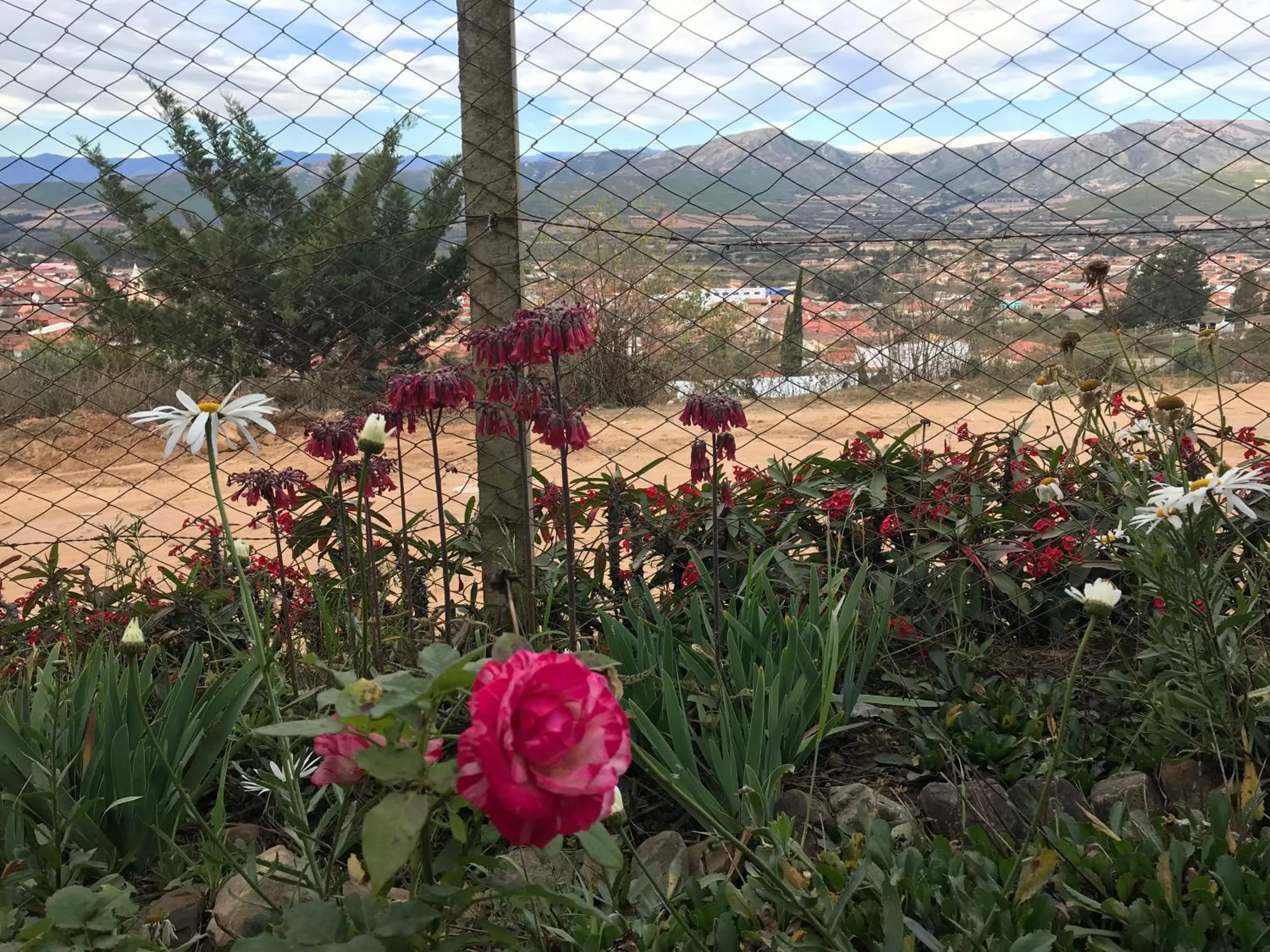 Area and facilities in Cabaña El Mirador Vallegrande