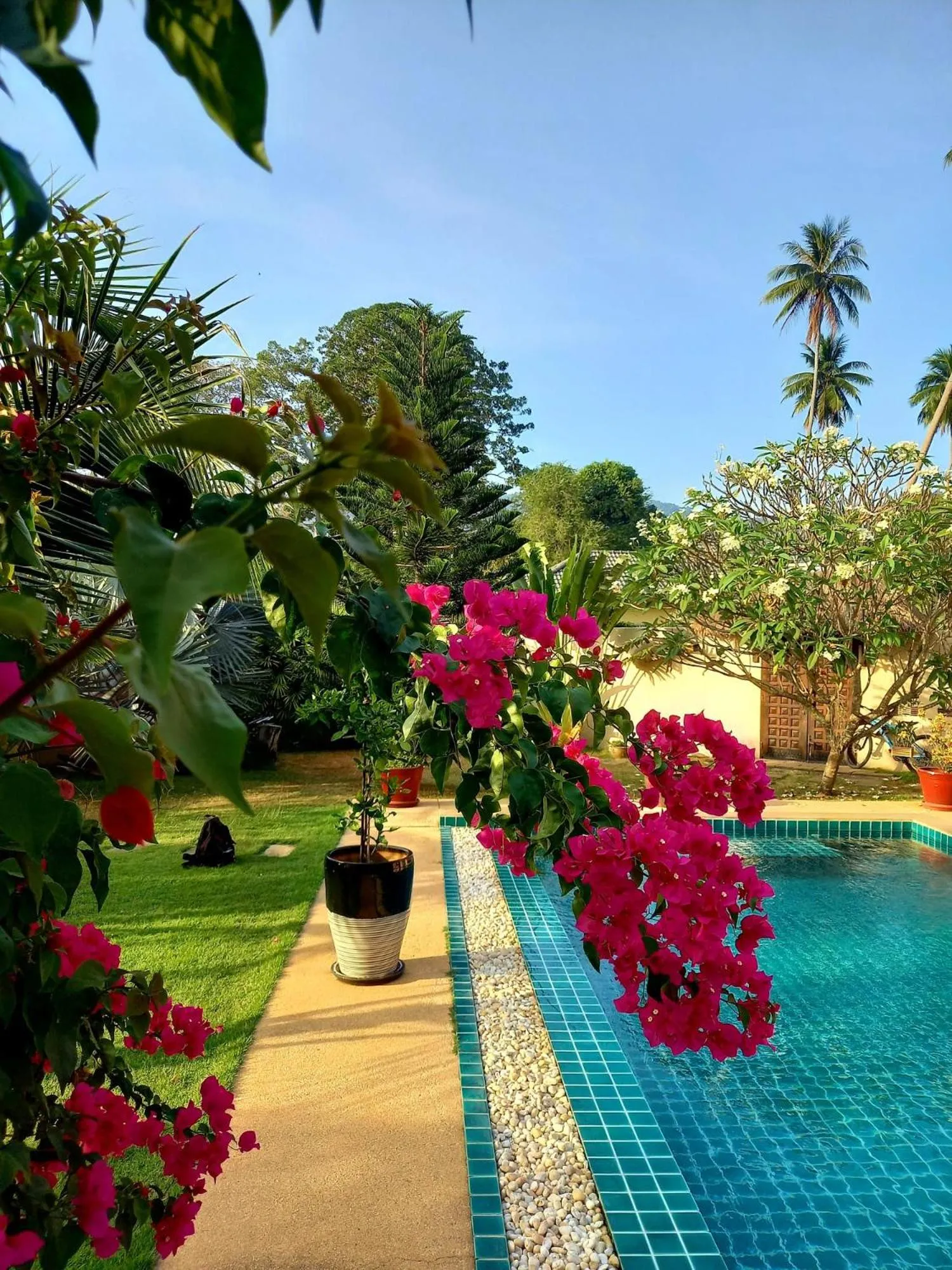 Laura's Guest House-adult only-