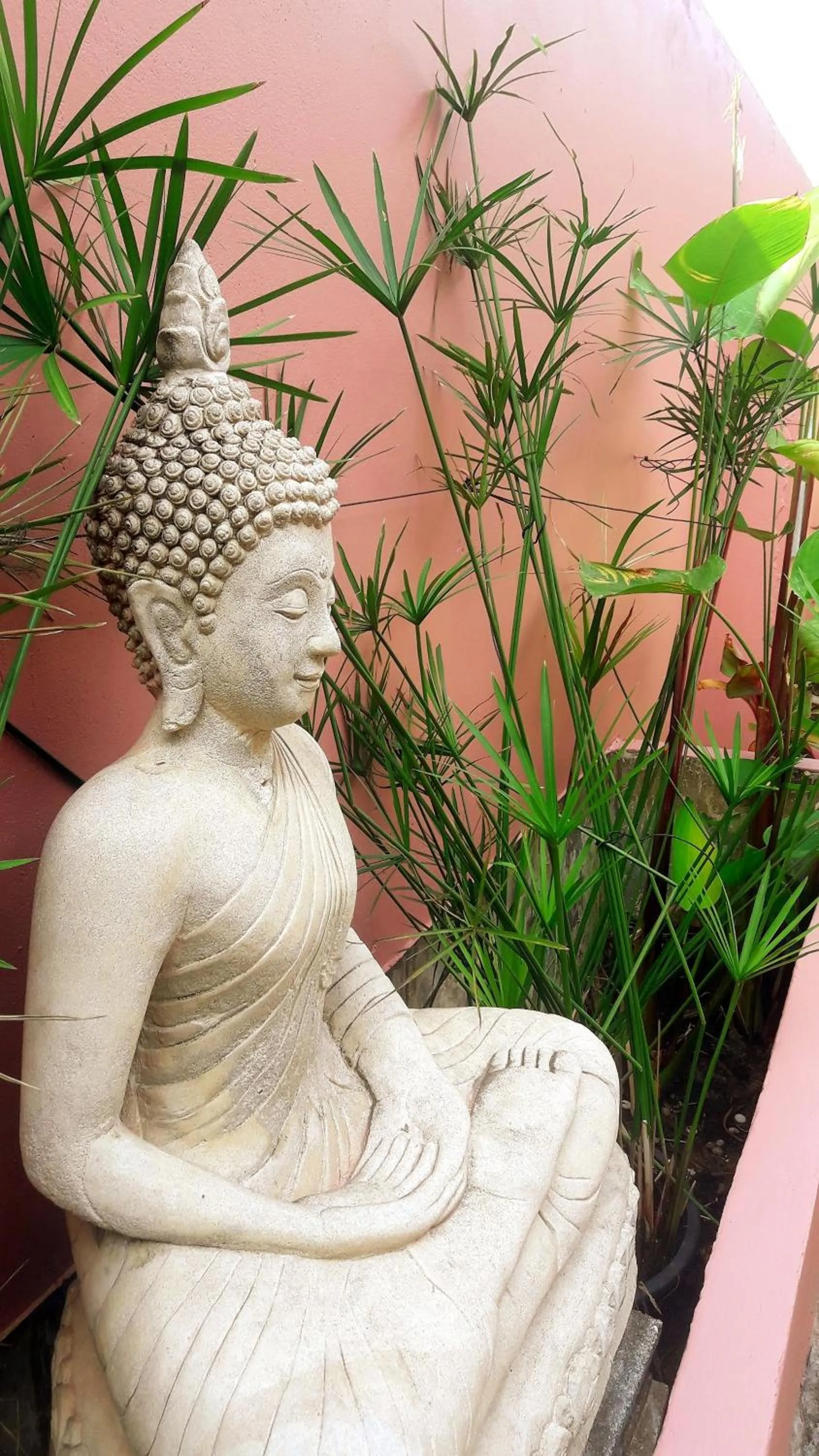 Garden in Laura's Guest House-adult only-