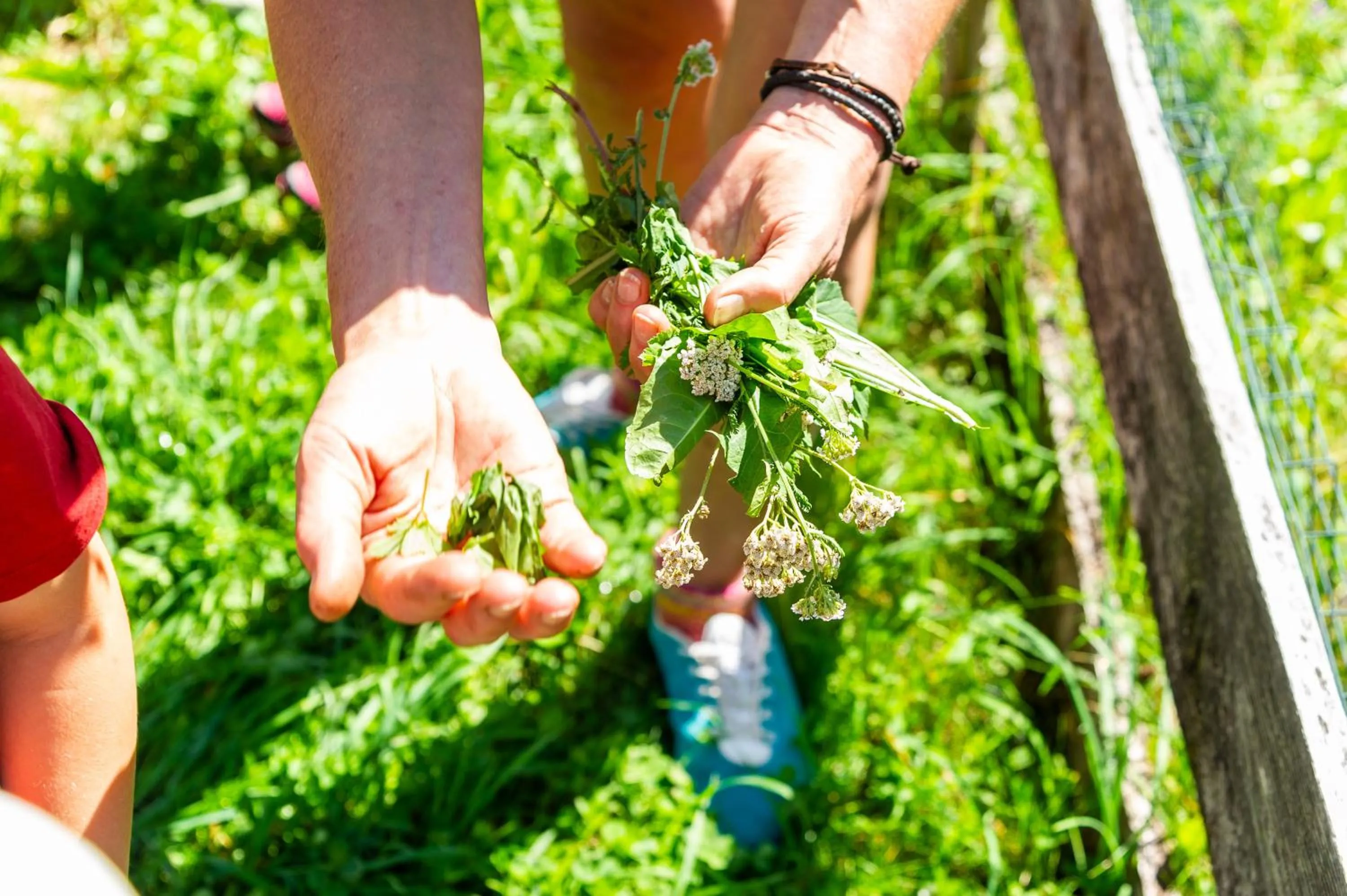 Spring in Heimat - Das Natur Resort