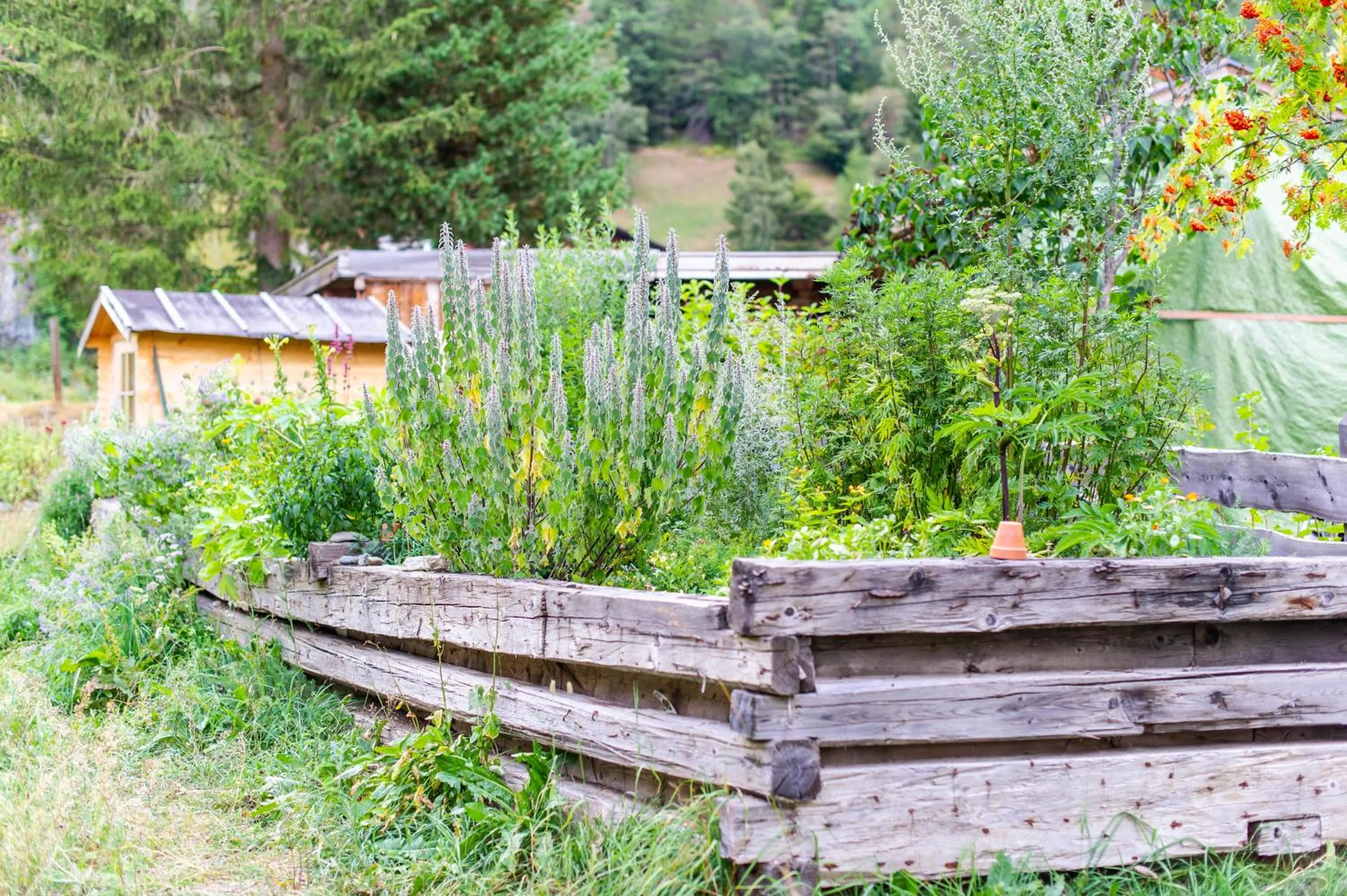 Spring in Heimat - Das Natur Resort