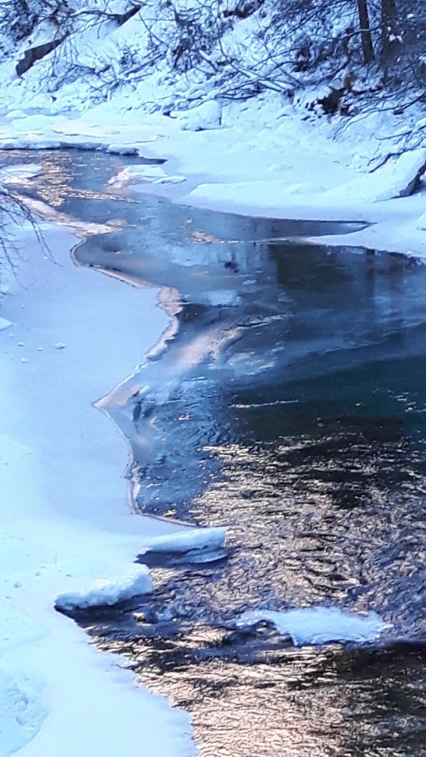 Natural landscape in Heimat - Das Natur Resort