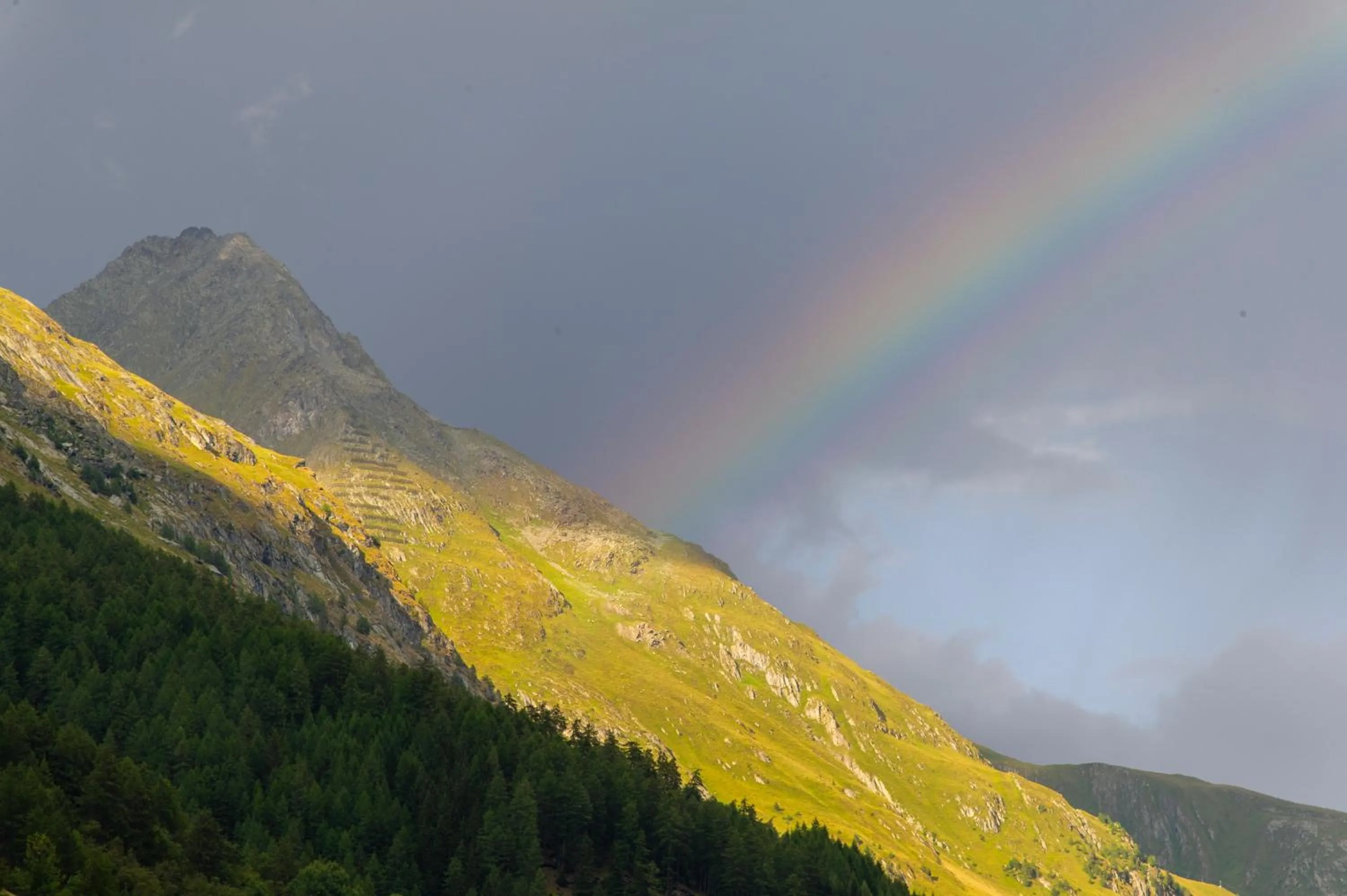 Summer in Heimat - Das Natur Resort
