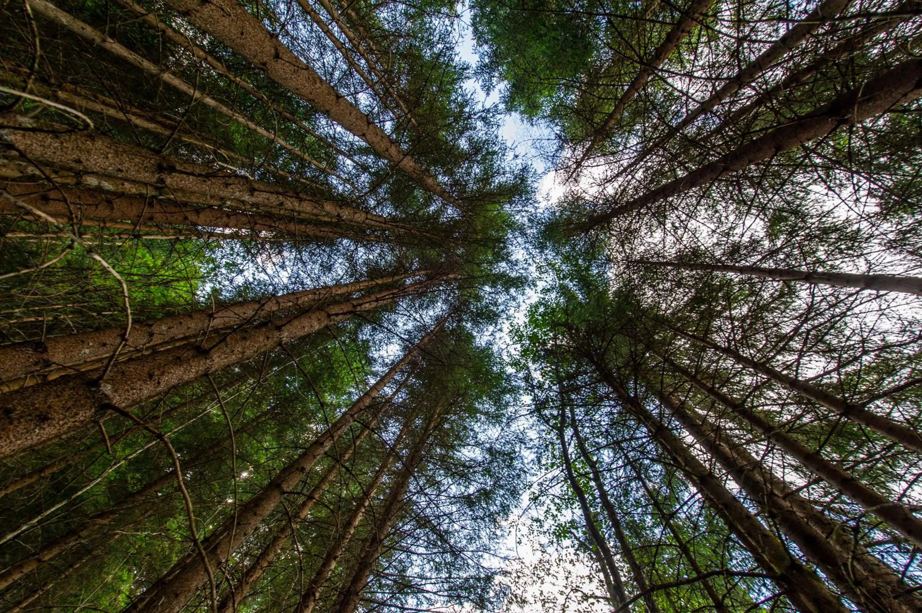 Nearby landmark in Heimat - Das Natur Resort