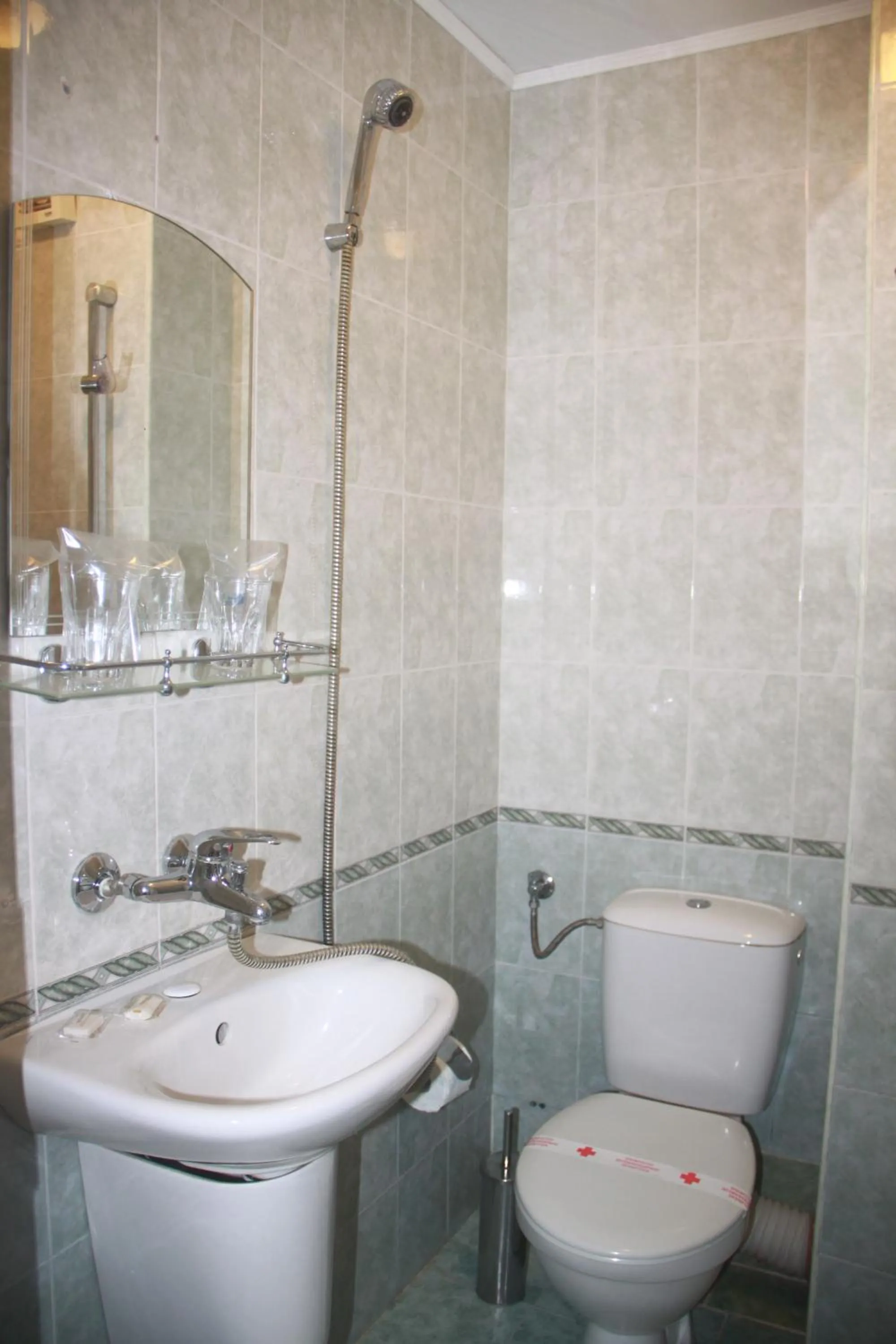 Toilet in Family Hotel Emilia