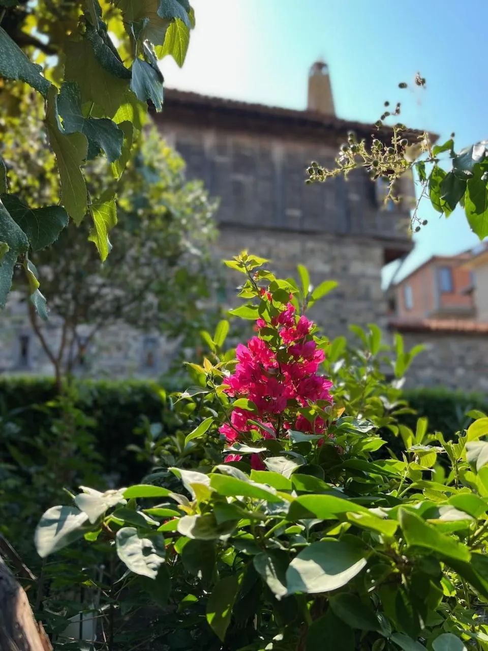 Garden view in Family Hotel Emilia