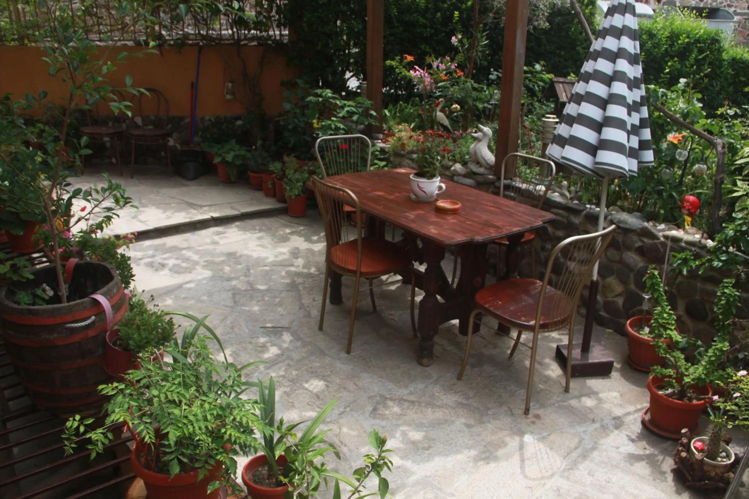 Garden in Family Hotel Emilia