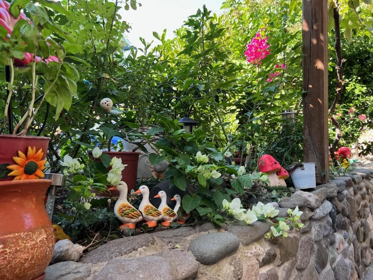 Garden view in Family Hotel Emilia