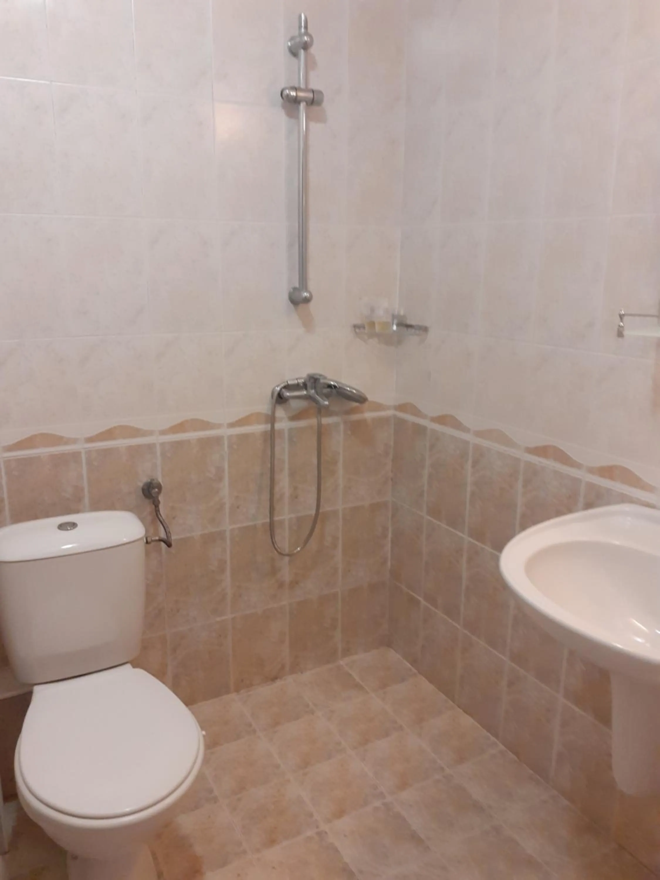 Toilet in Family Hotel Emilia