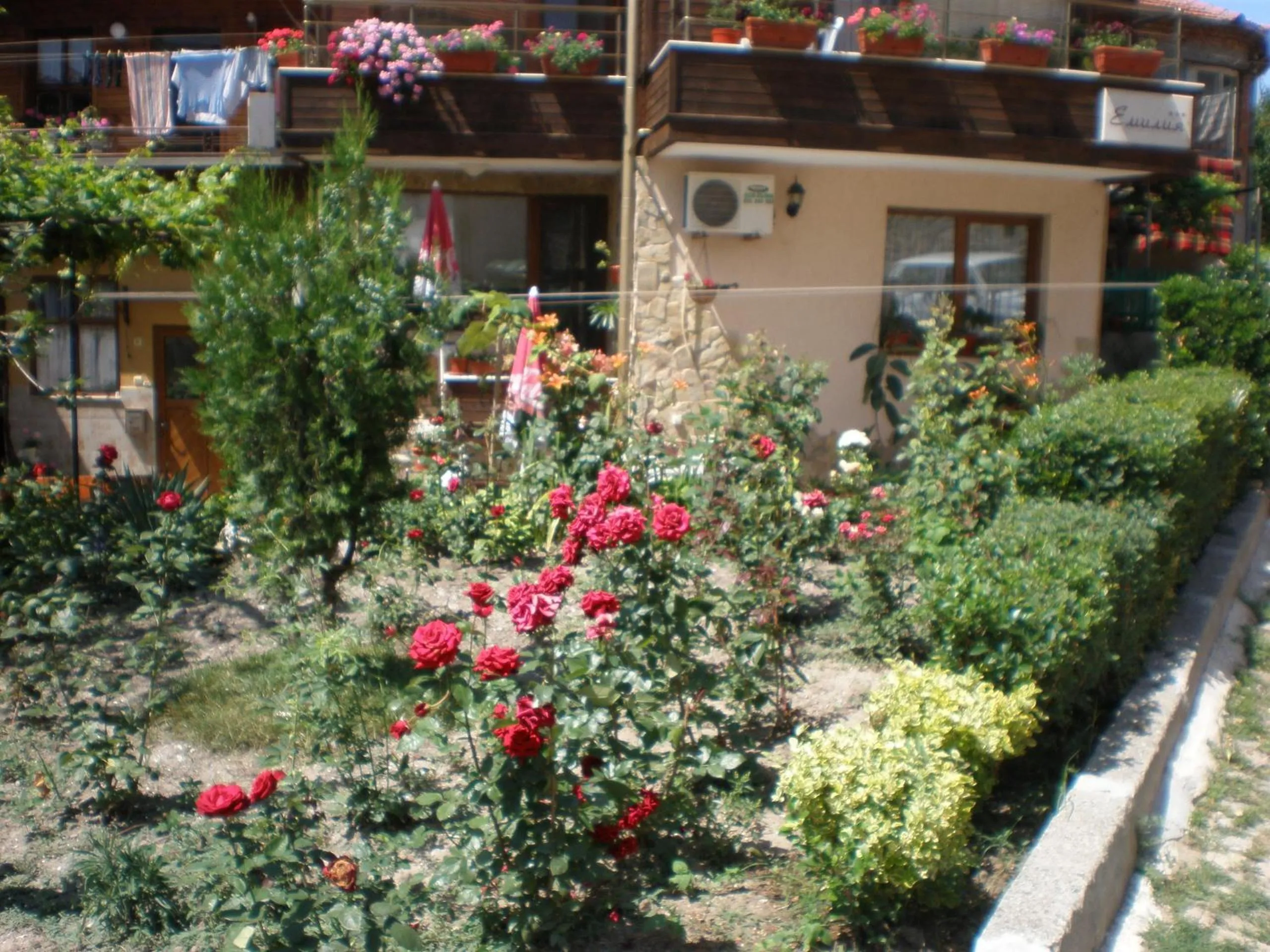 Garden in Family Hotel Emilia