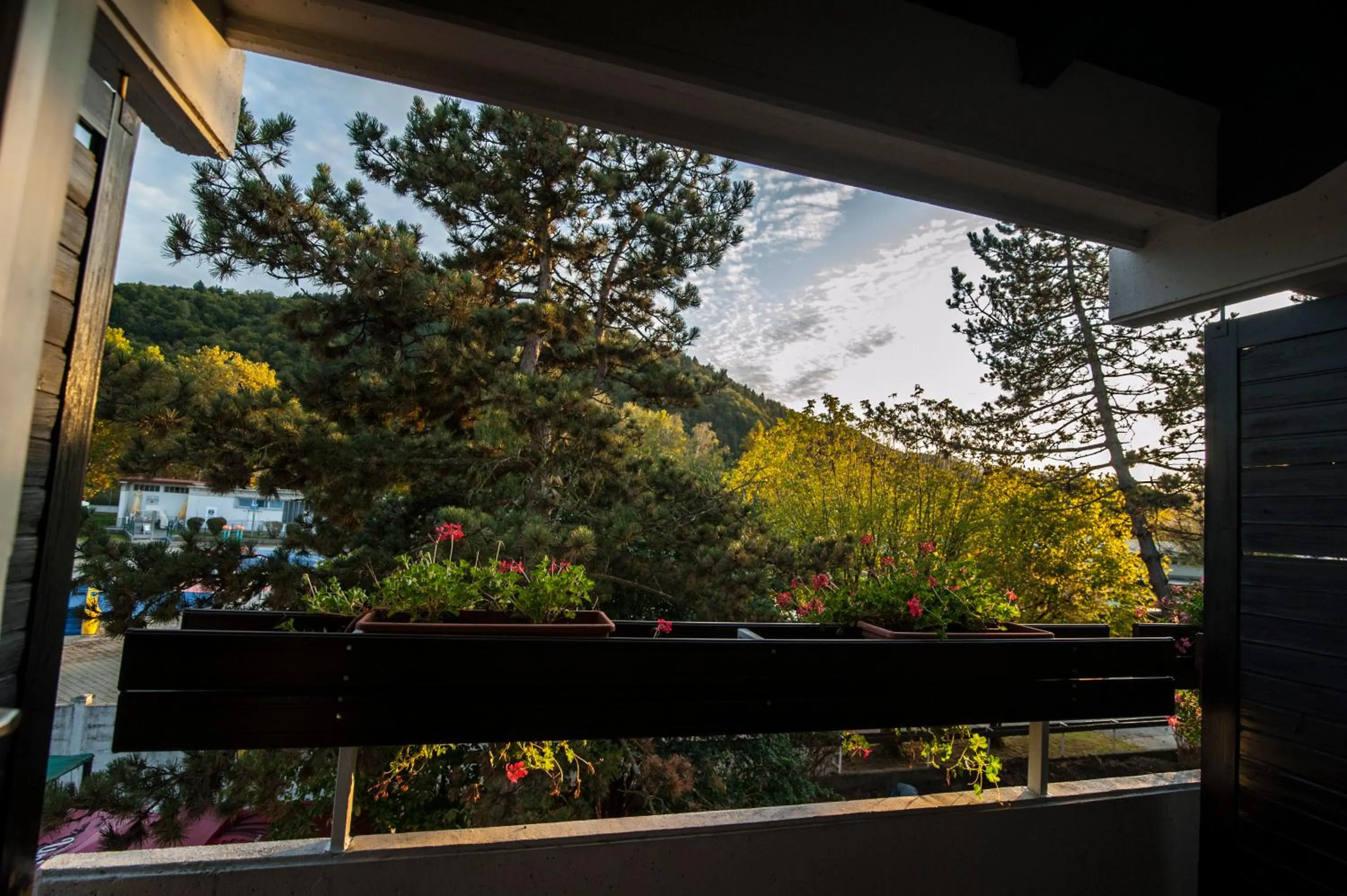 Spring in Hotel Faraon