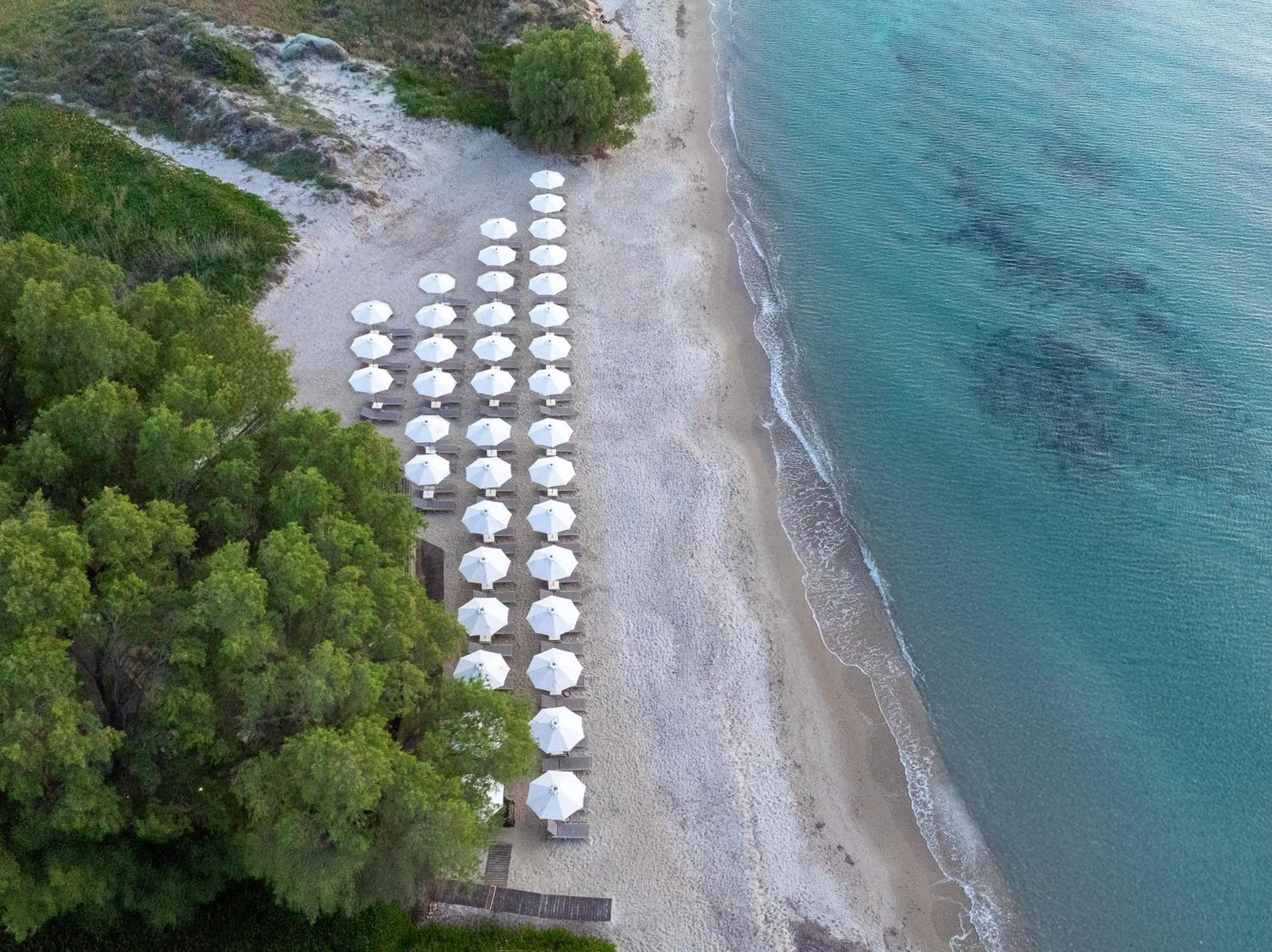 Beach in Neptune Luxury Resort