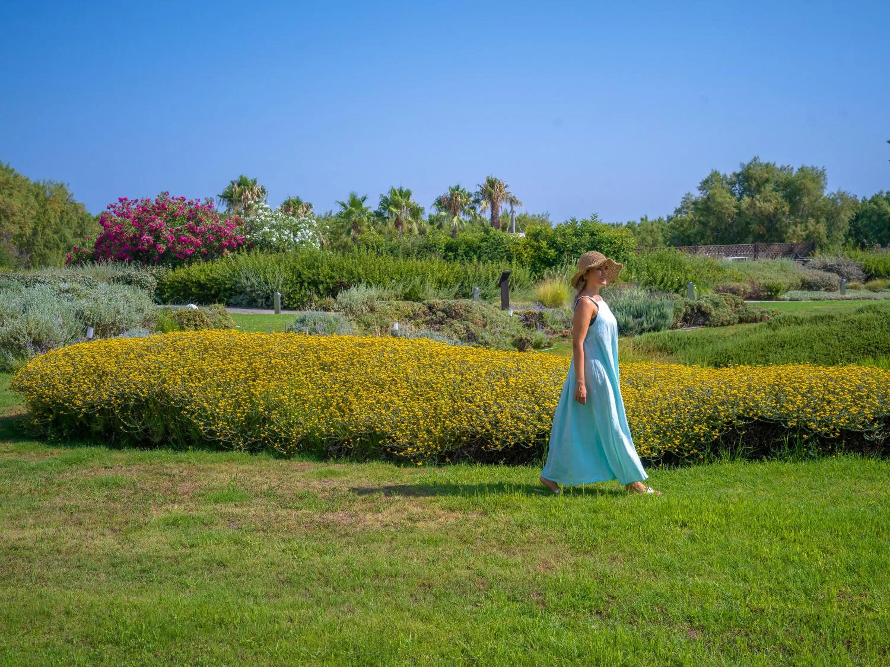 Garden in Neptune Luxury Resort