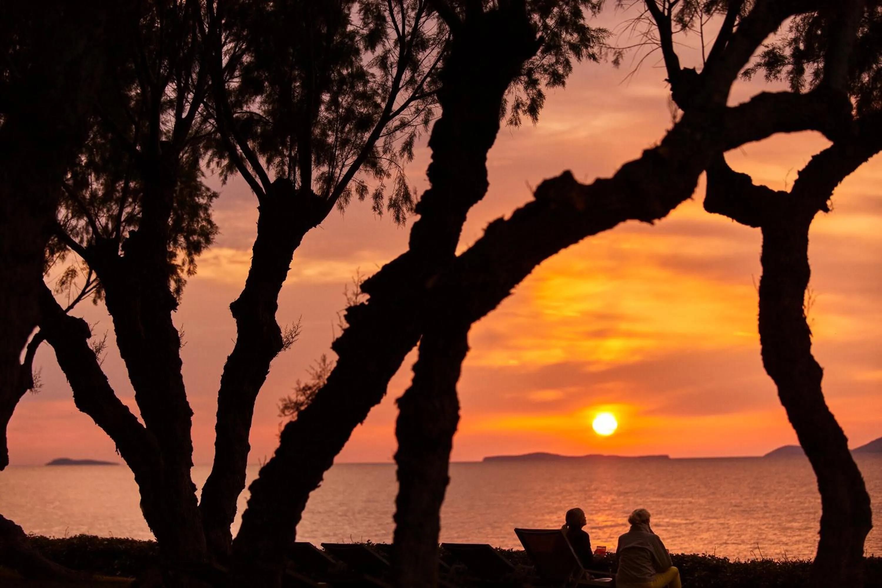 Sea view in Neptune Luxury Resort