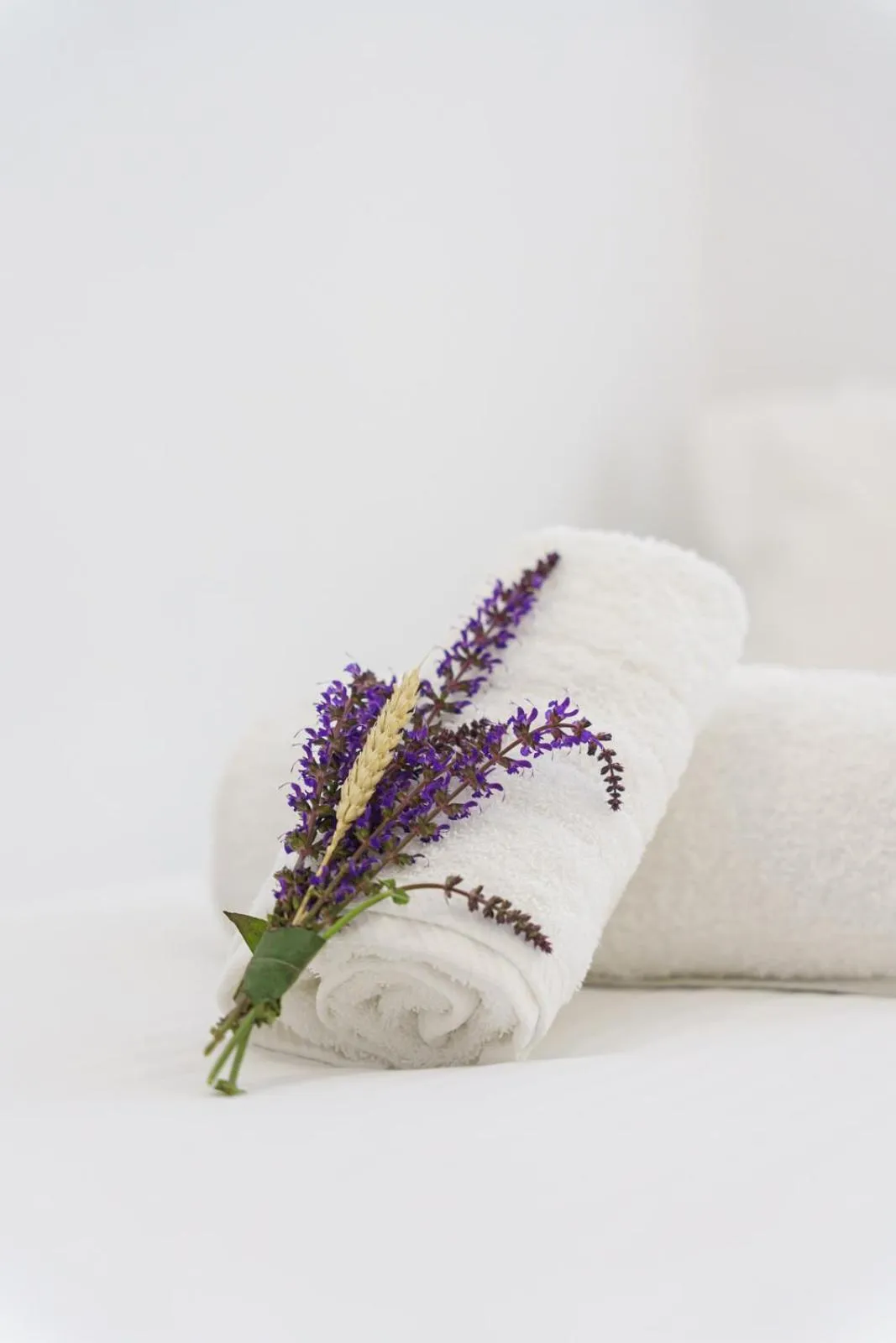 Art Pantheon - Suites & Apartments