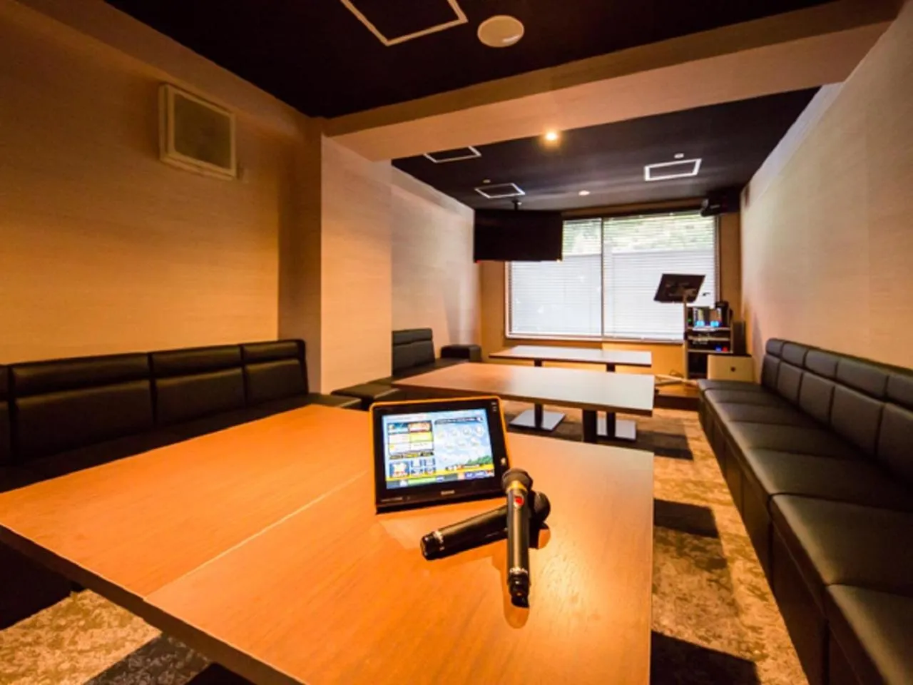 Karaoke in LiVEMAX RESORT Aki Miyajima