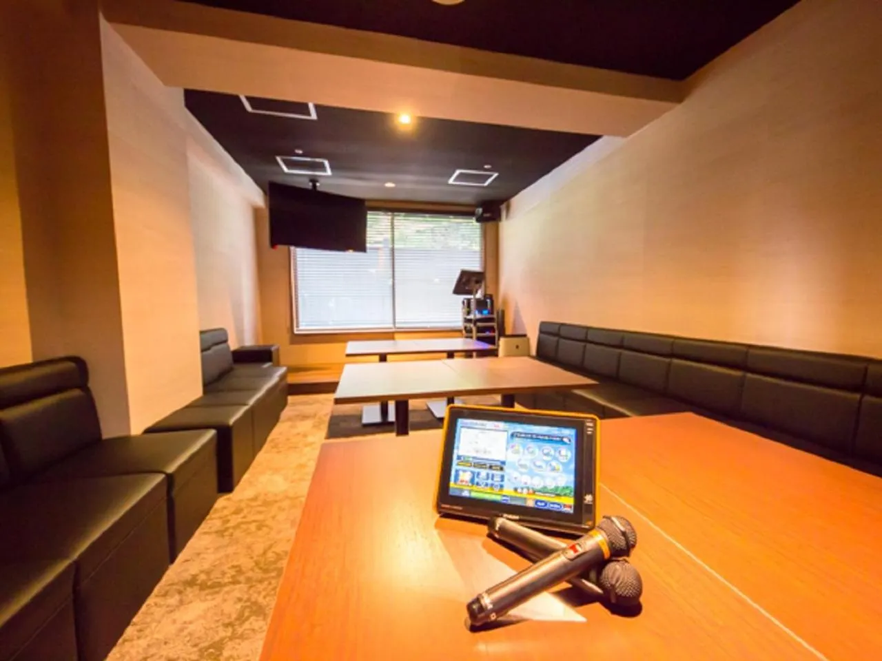 Karaoke in LiVEMAX RESORT Aki Miyajima