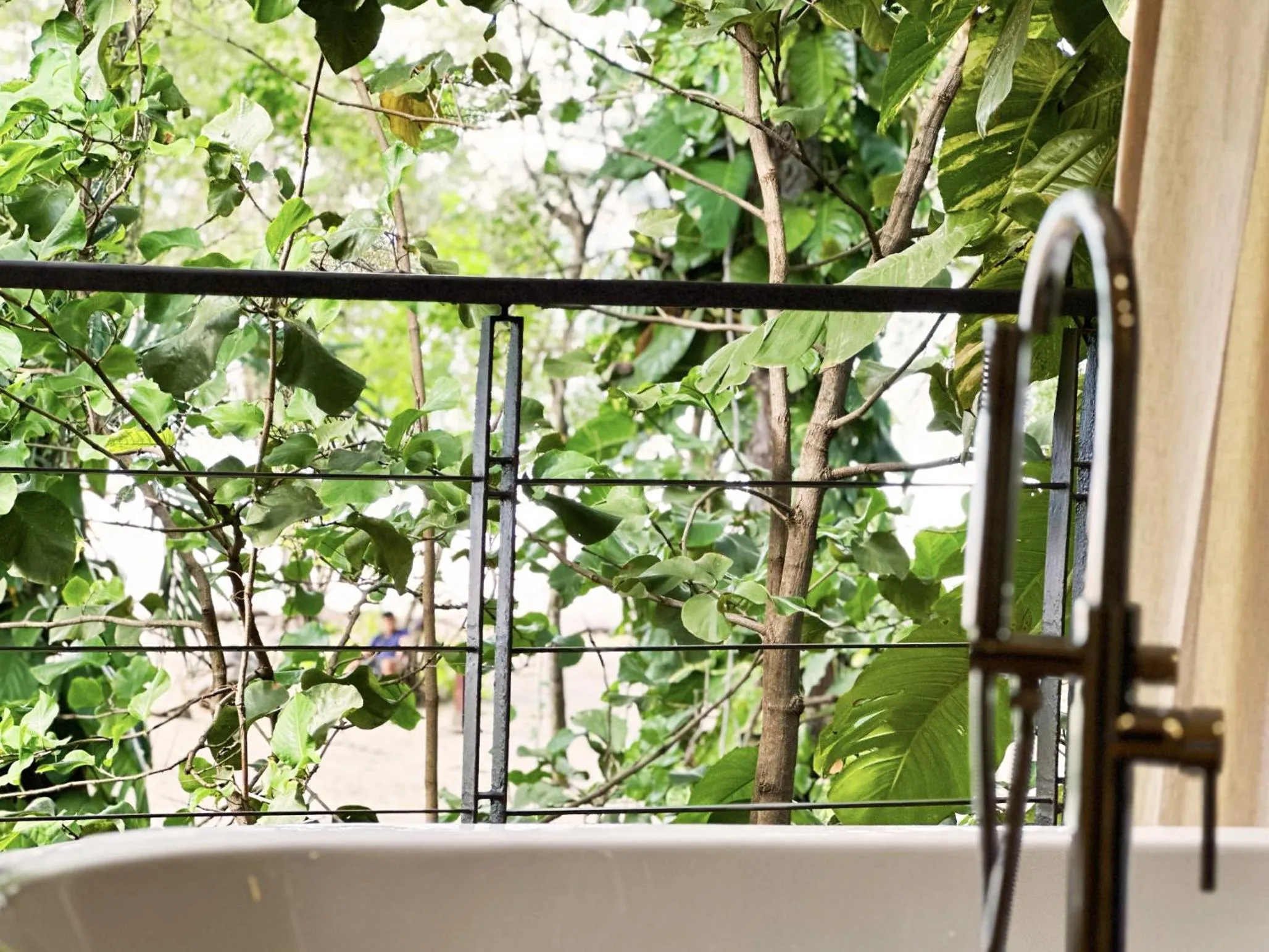 Garden view in Hotel Bosque del Mar Playa Hermosa