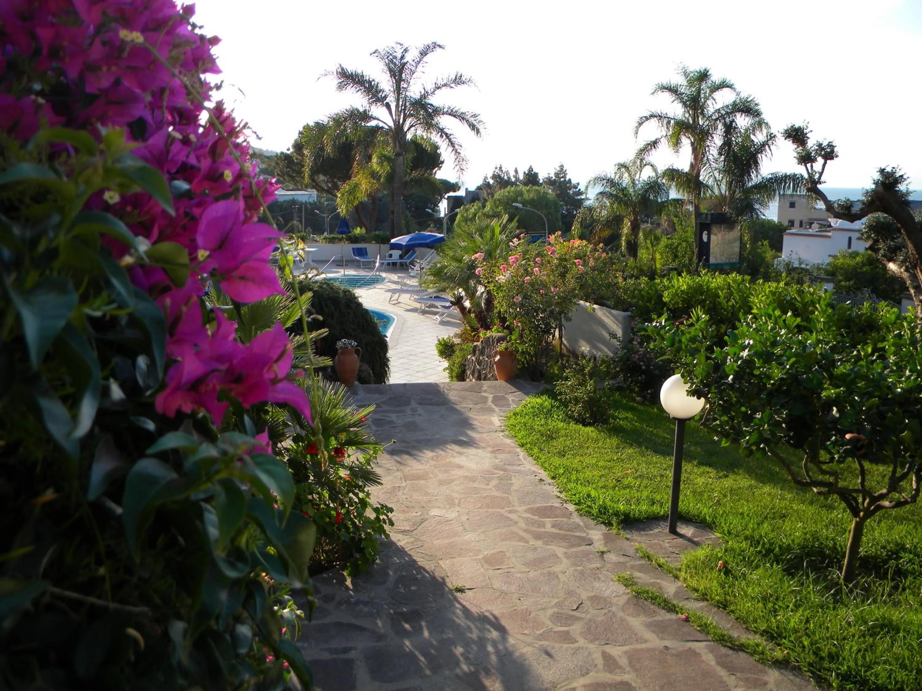 Garden in Hotel Parco Conte