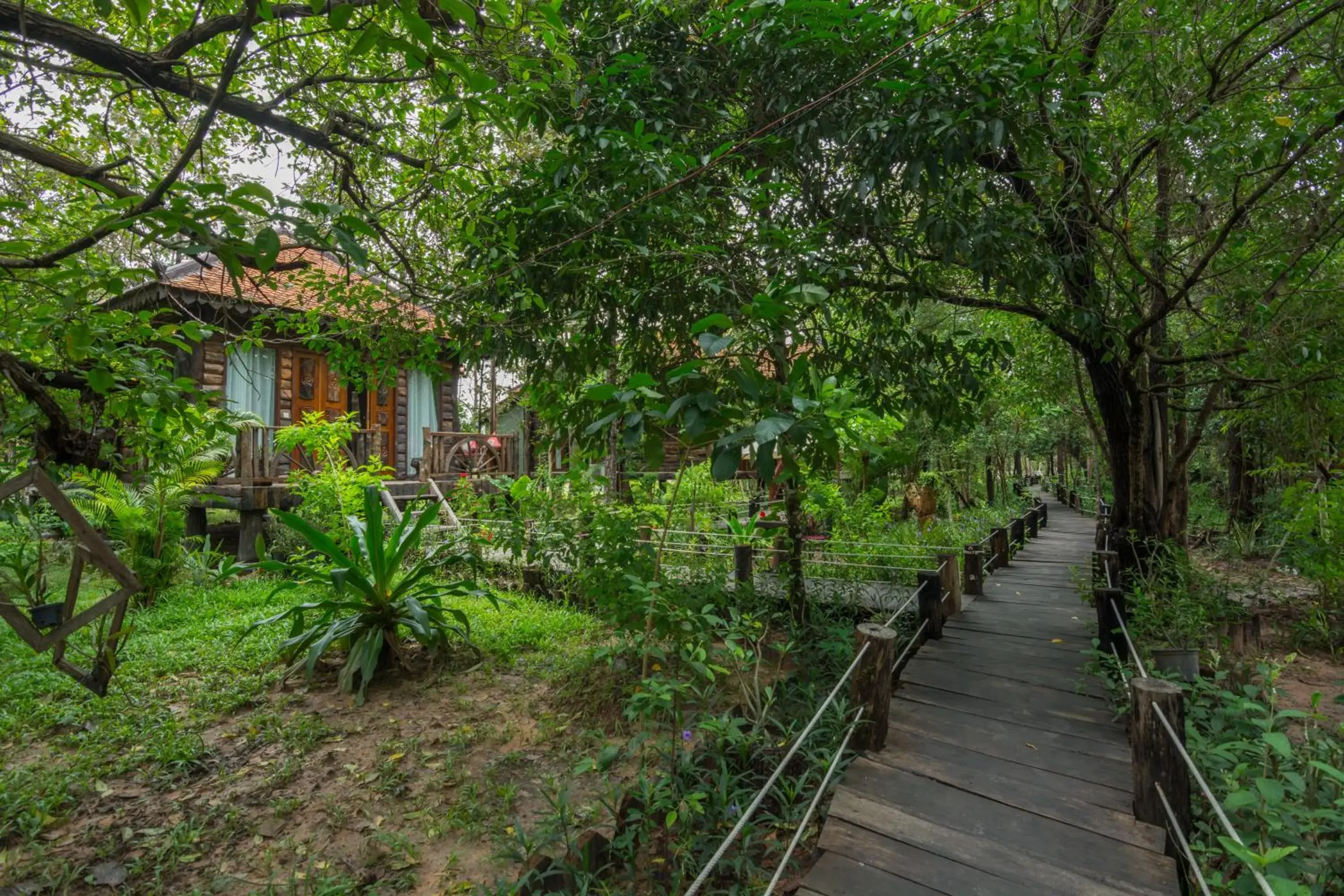 Garden view in Bong Thom Forest Lodge Garden view in Bong Thom Forest Lodge