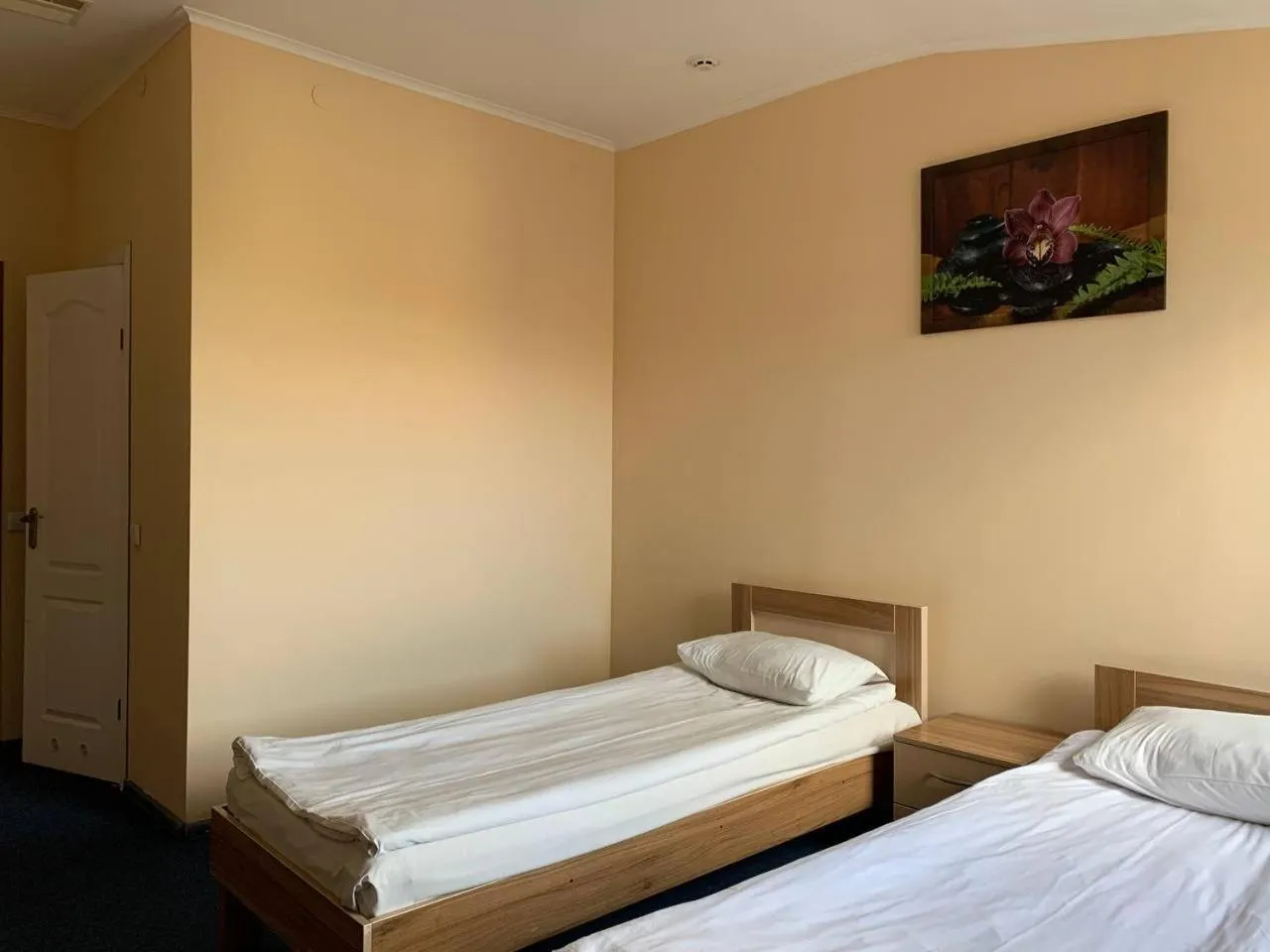 Bed in Budget Hotel Ekotel