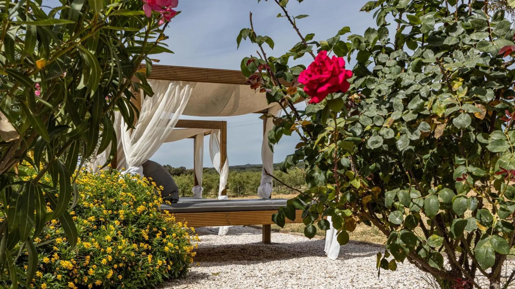 Area and facilities in Vila Planicie
