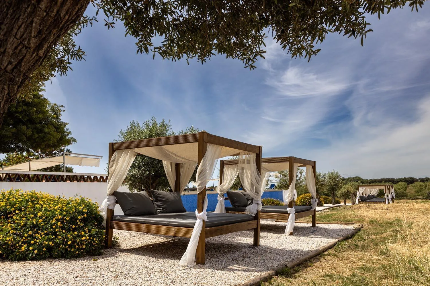 Area and facilities in Vila Planicie