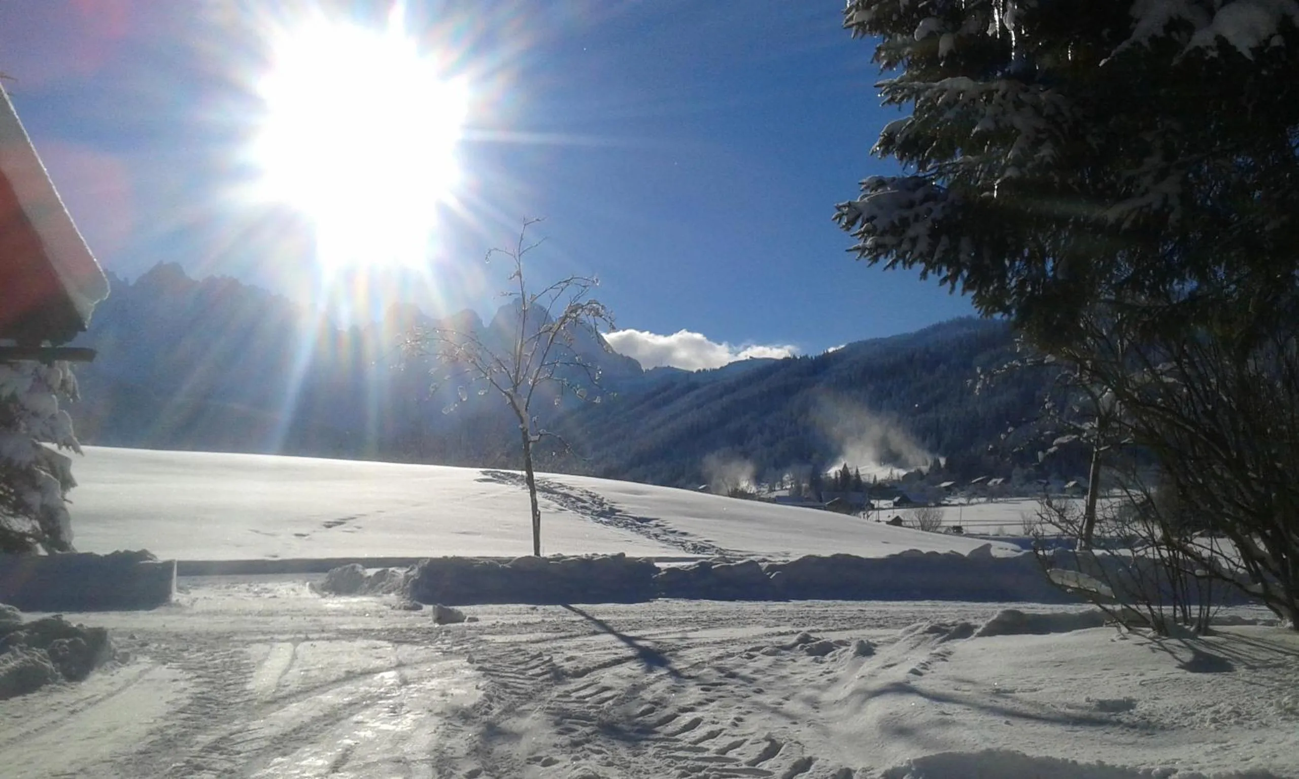 Natural landscape in Hotel - Restaurant Gosauerhof