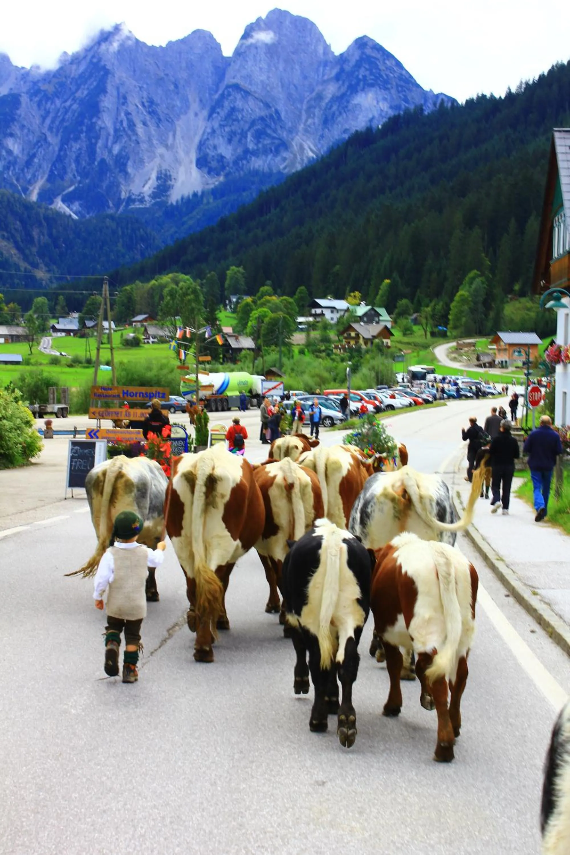 Animals in Hotel - Restaurant Gosauerhof