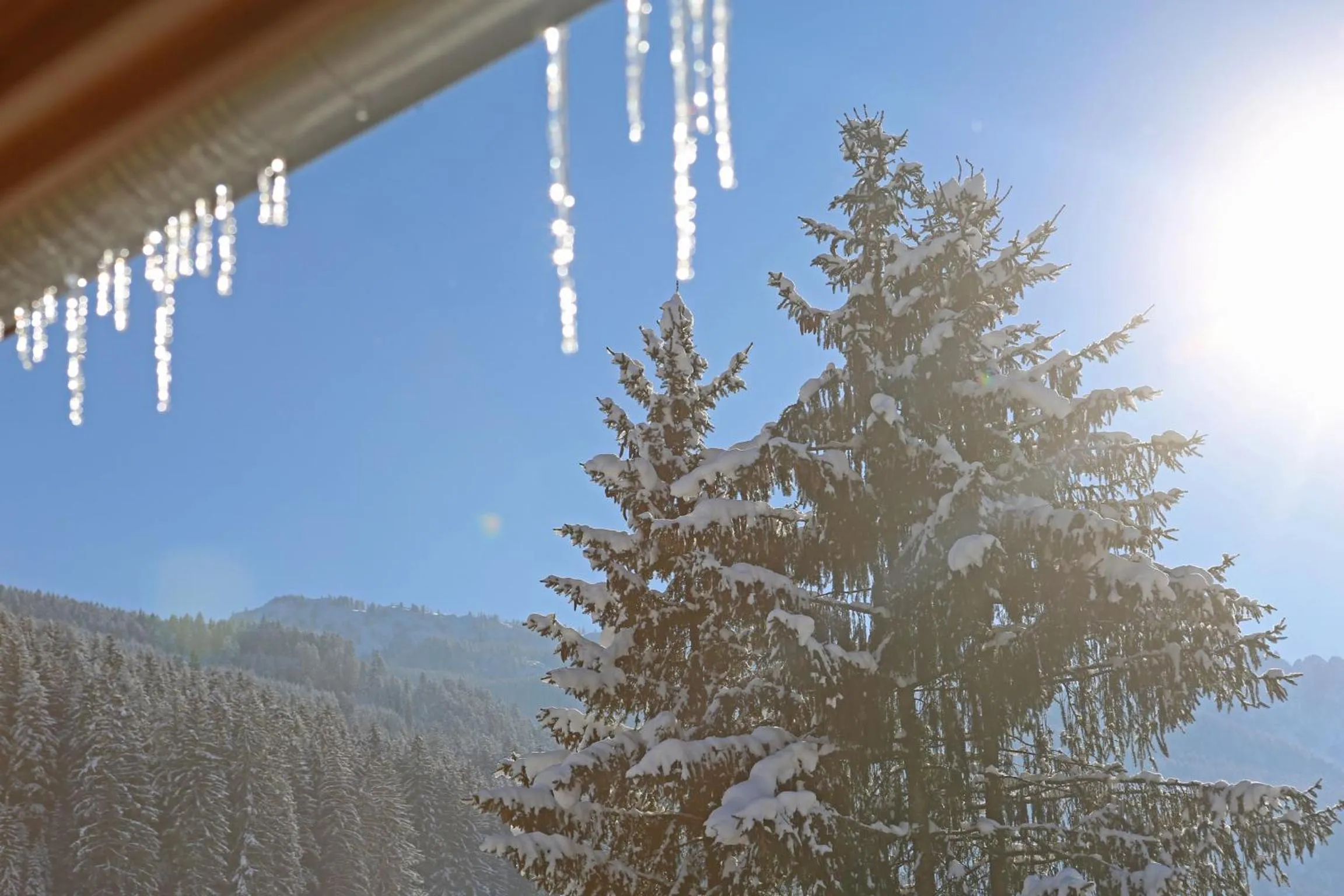 Winter in Hotel - Restaurant Gosauerhof