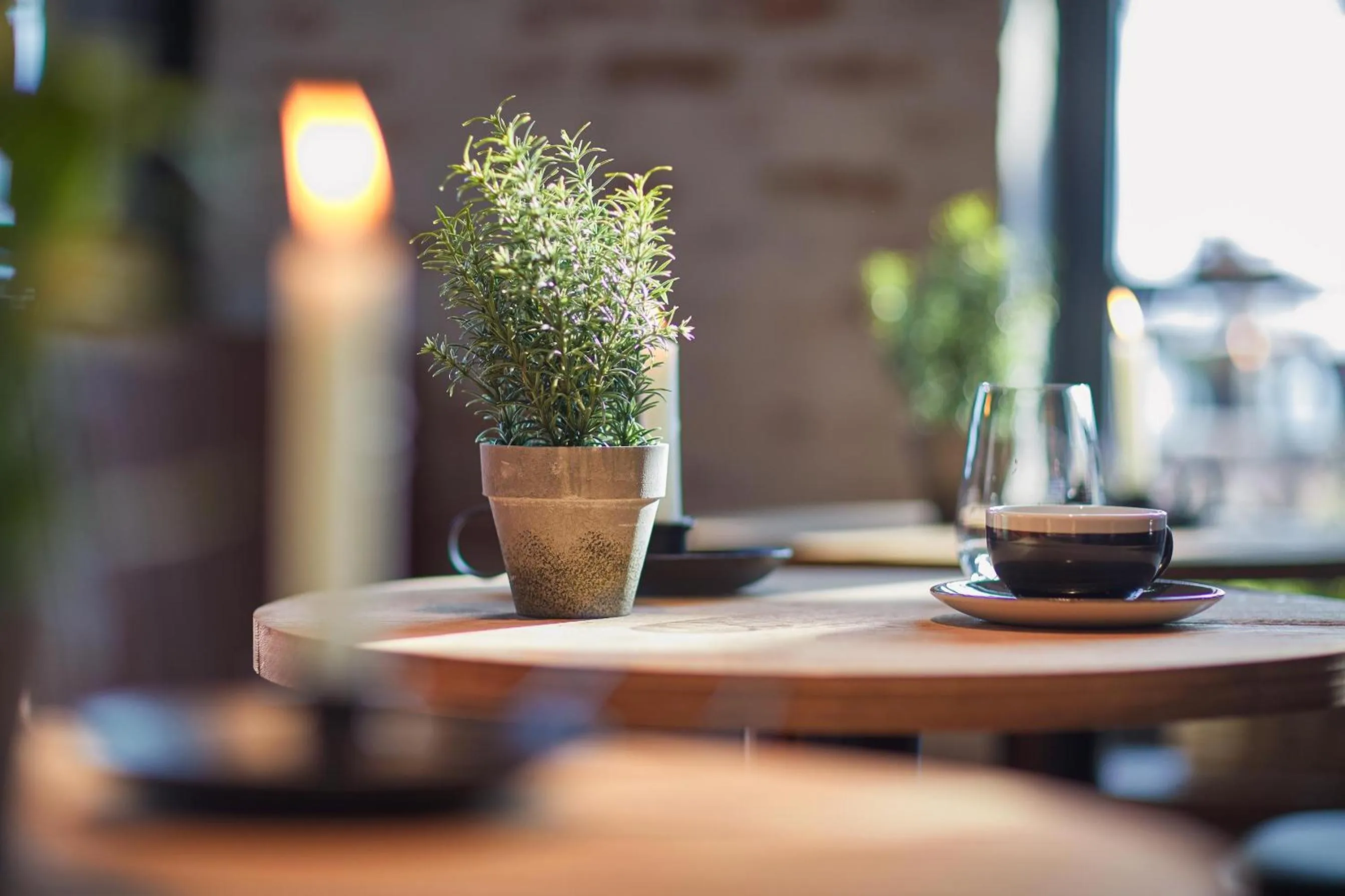 Restaurant/places to eat in Lighthouse Hotel & Spa