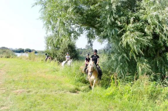 Horse-riding in Lighthouse Hotel & Spa