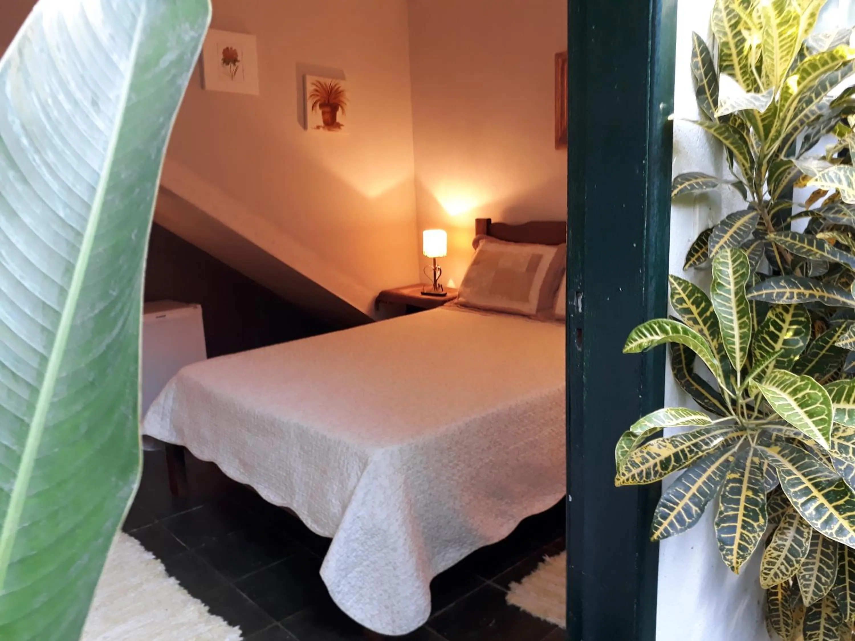 Garden view in Pousada Arte Colonial - Casarão Histórico do Séc XVIII - Lancha Própria