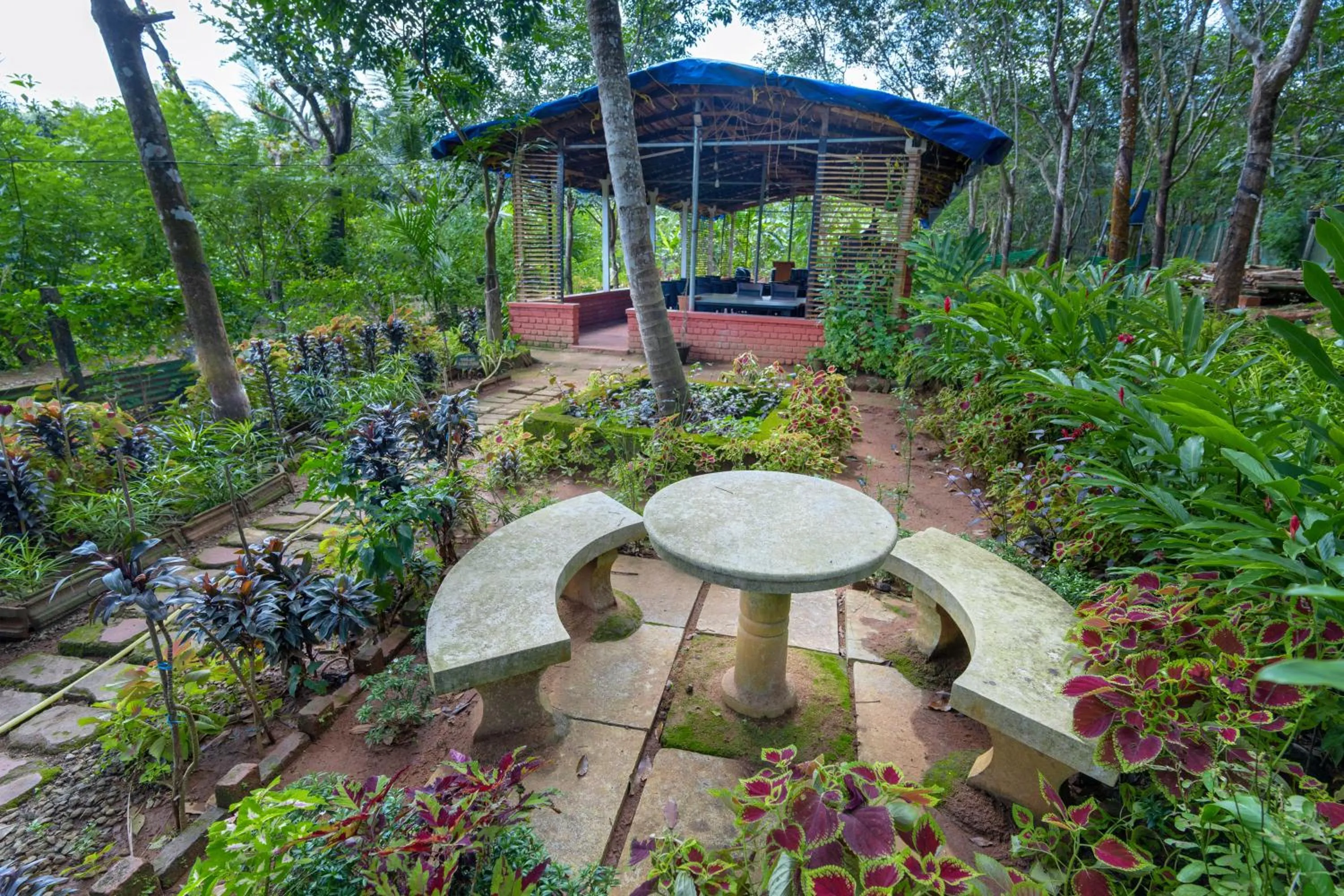 Garden view in Anamala Serenity Homestay Kerala