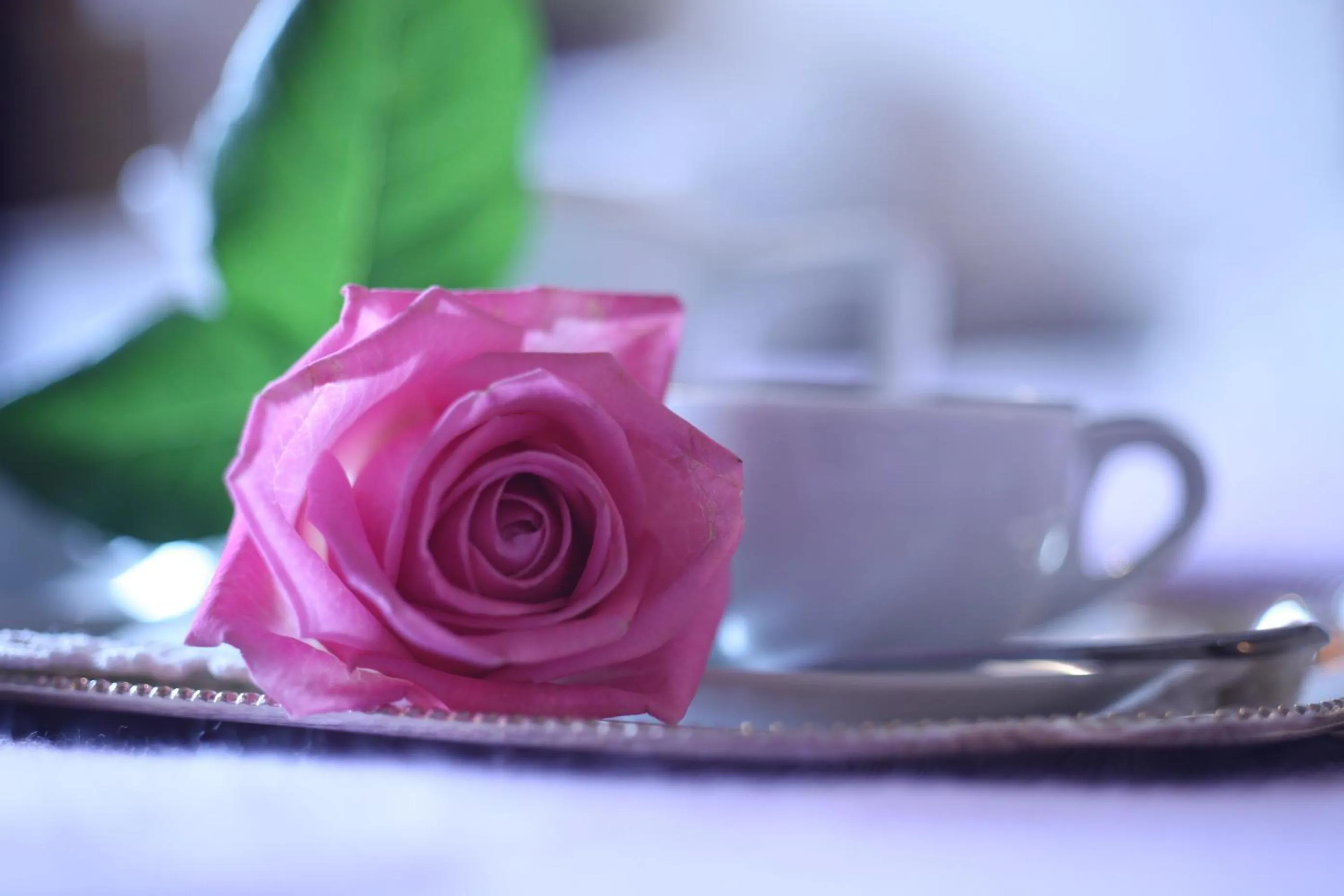 Other in Hotel Rural Can Vila