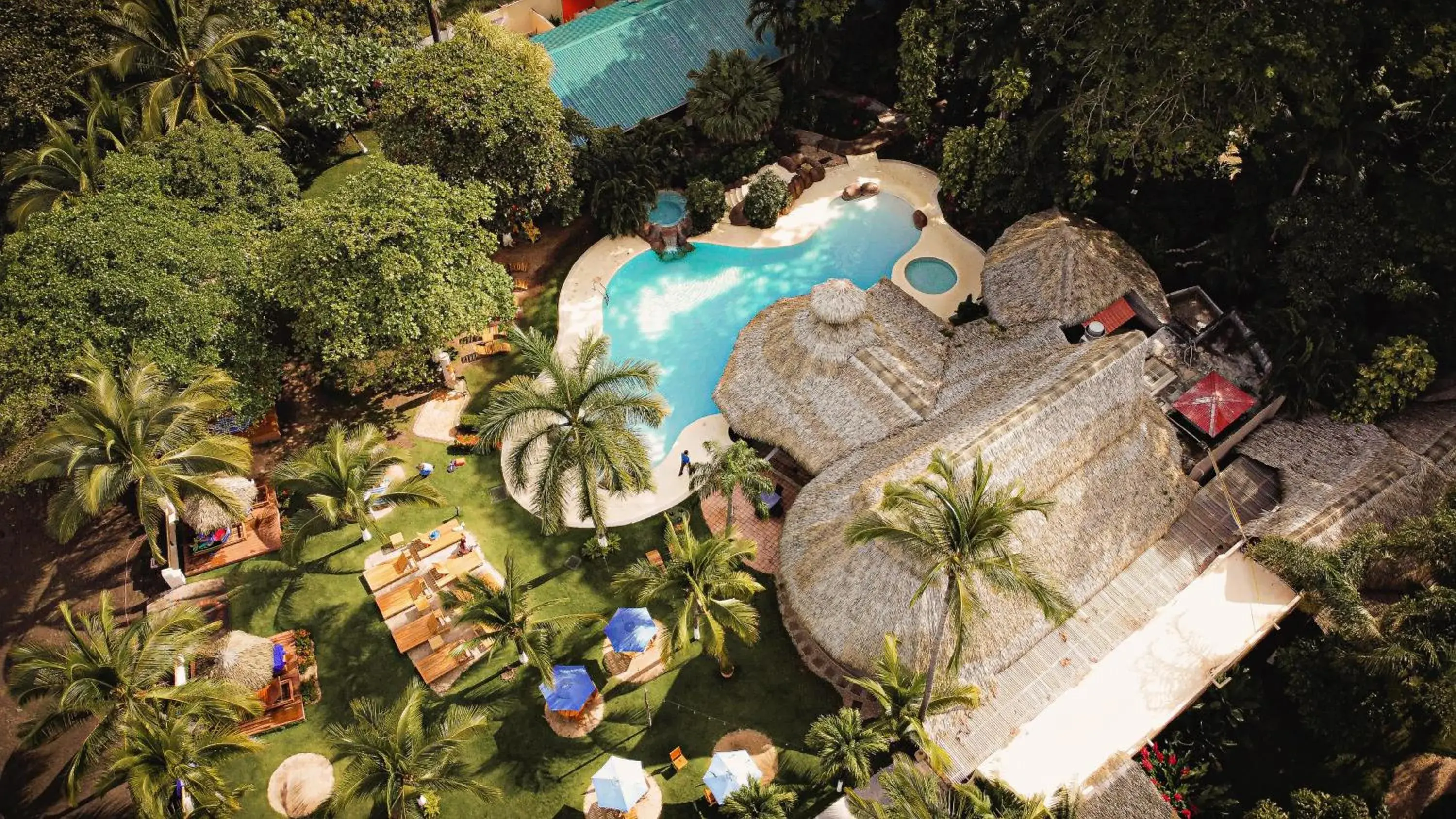Garden view in Bahia del Sol Beach front Boutique Hotel Garden view in Bahia del Sol Beach front Boutique Hotel