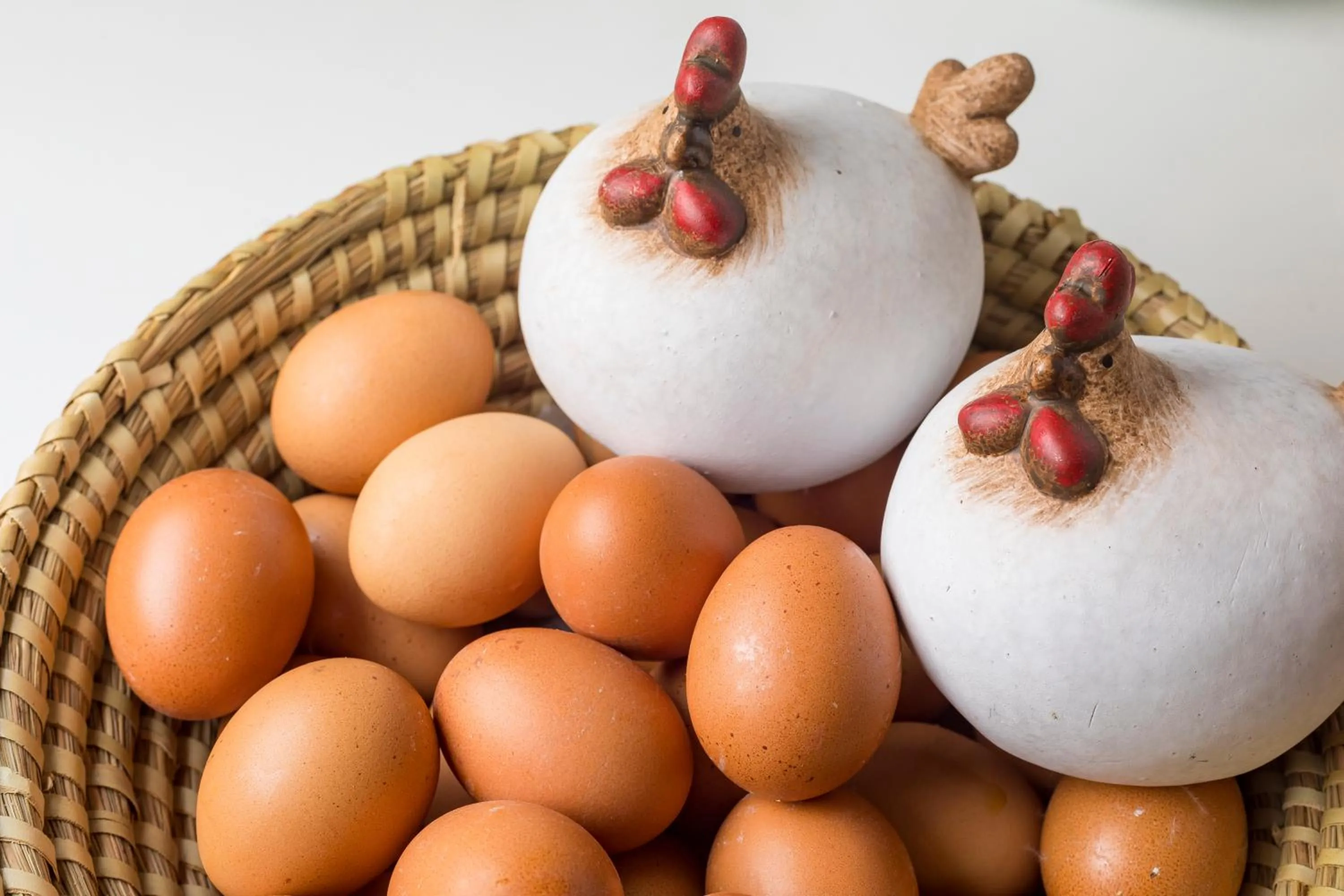 Breakfast in Hotel Bio