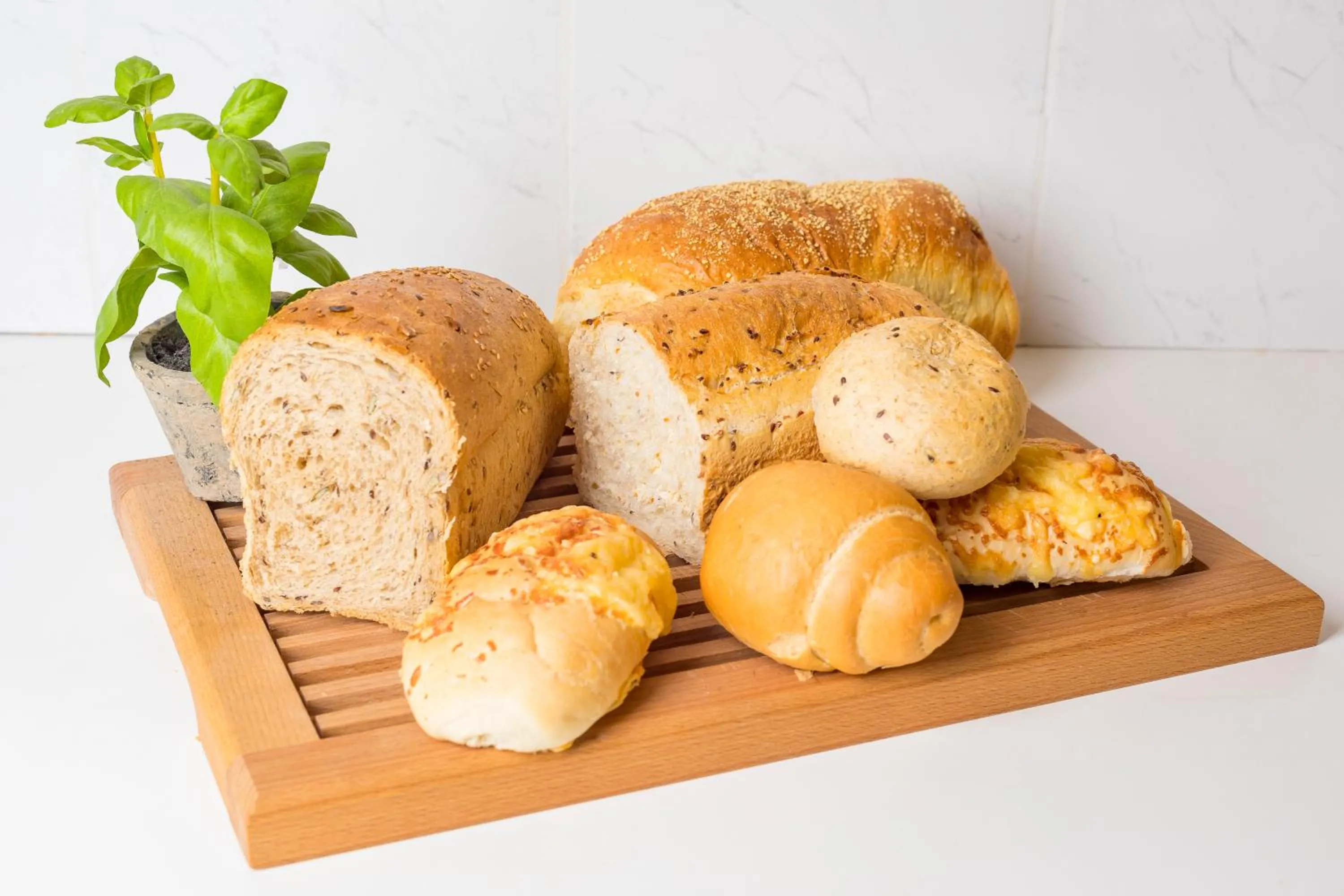 Breakfast in Hotel Bio