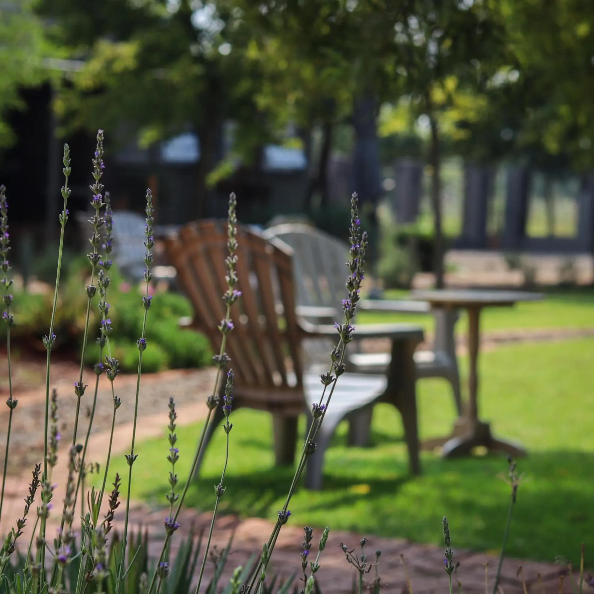 Three Thymes Inn