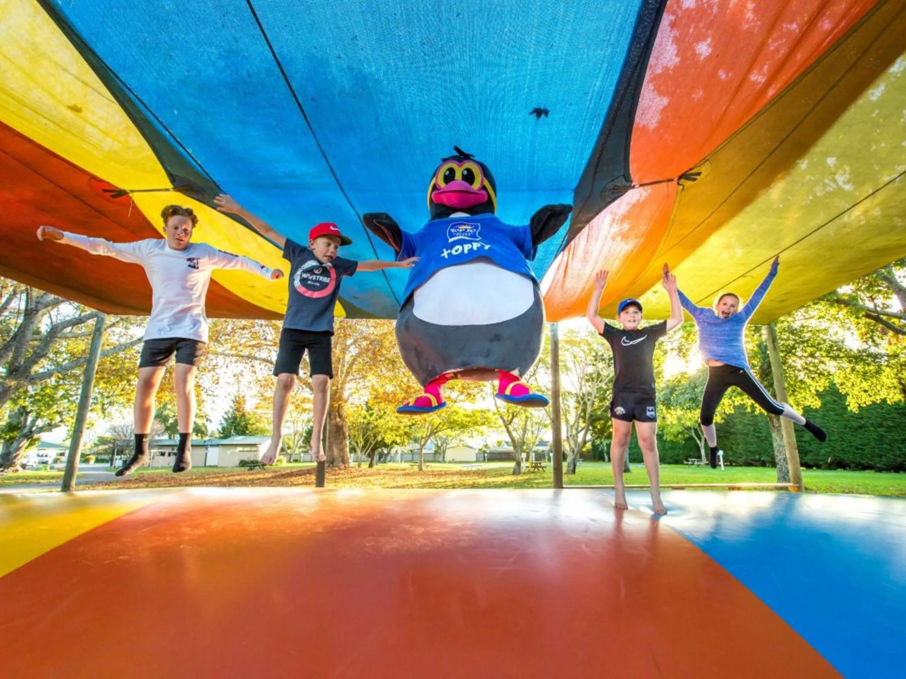 Activities in Motueka TOP 10 Holiday Park