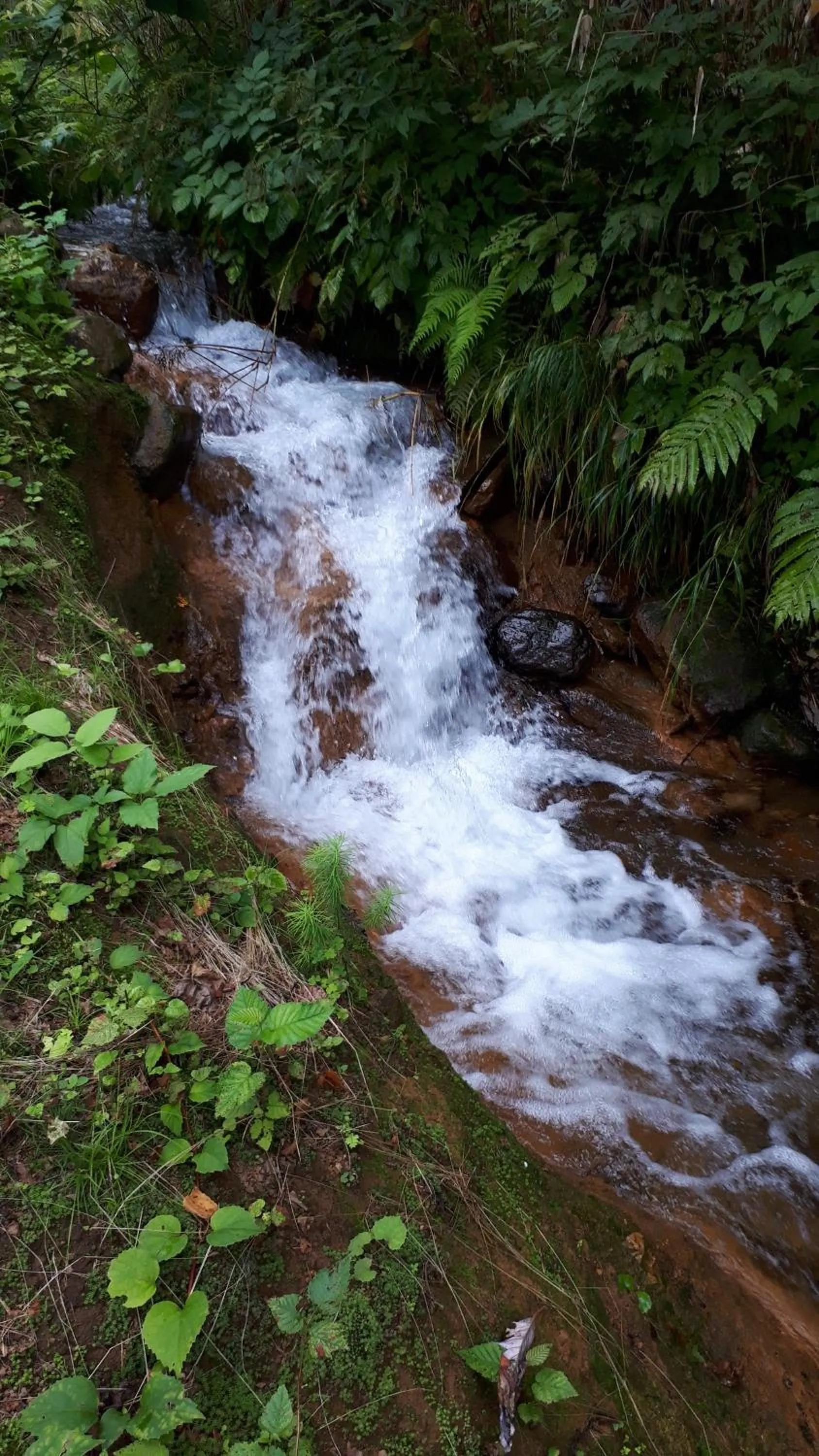 Nearby landmark in Bistare Kana