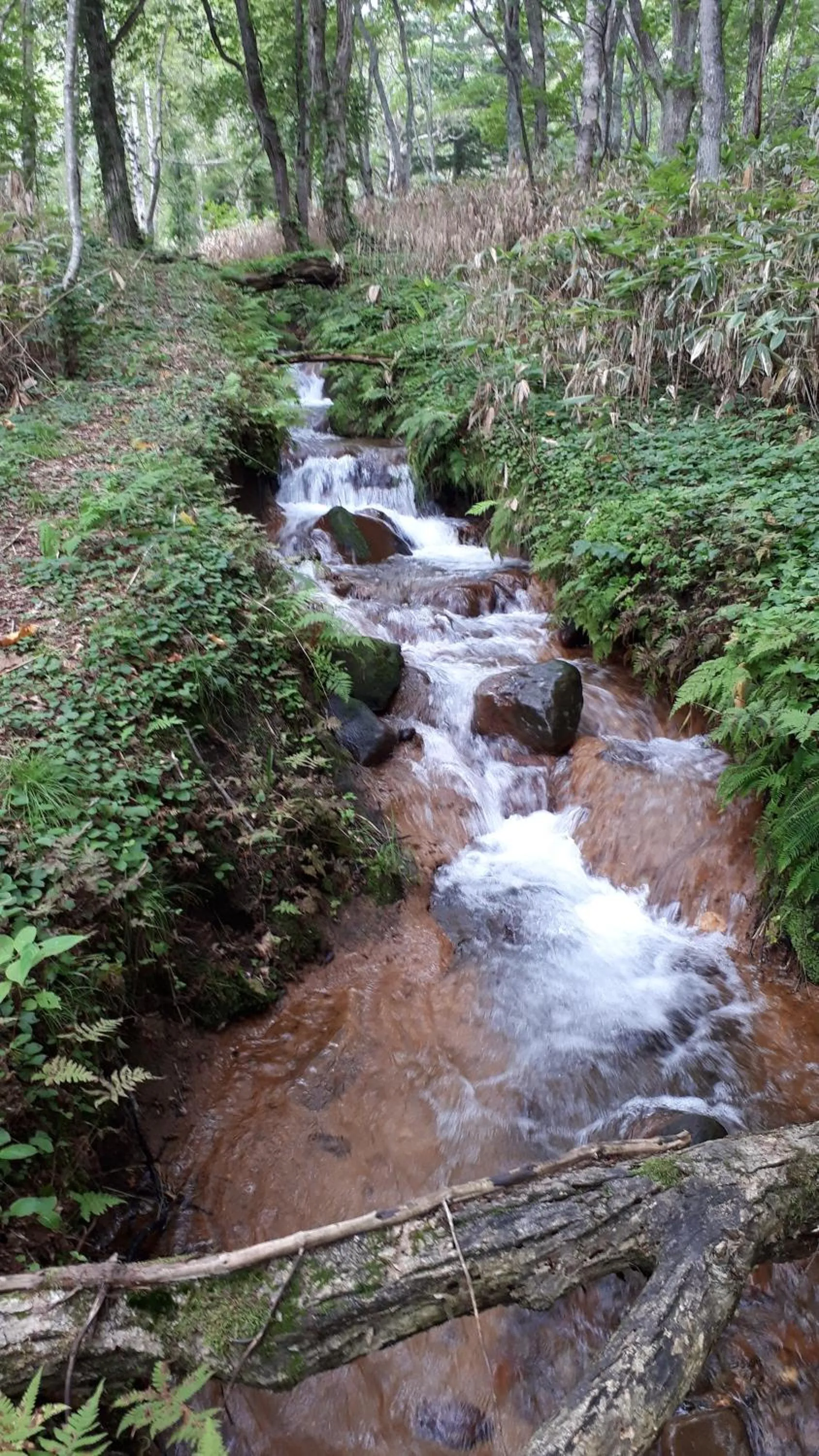 Nearby landmark in Bistare Kana