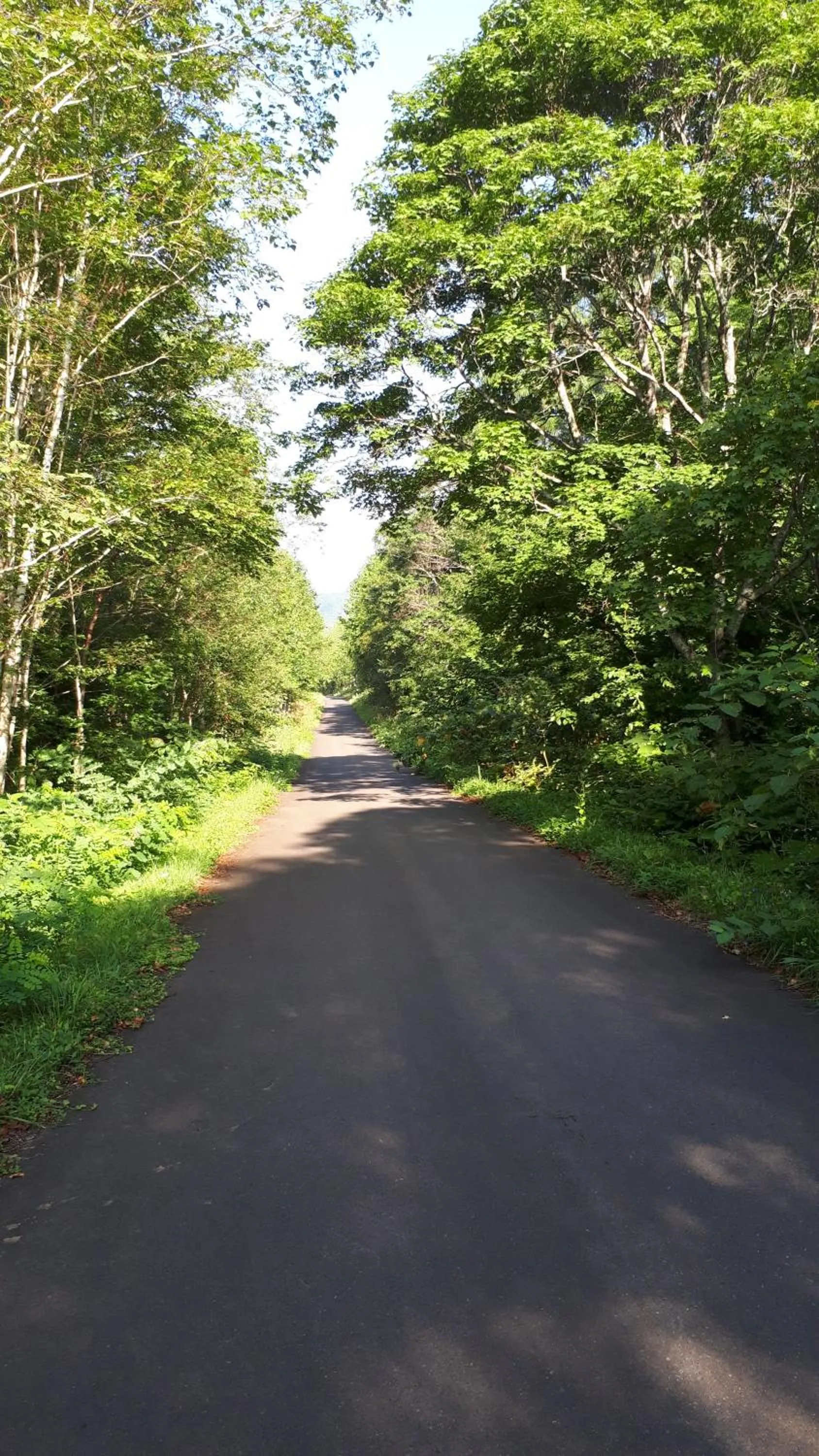 Neighbourhood in Bistare Kana